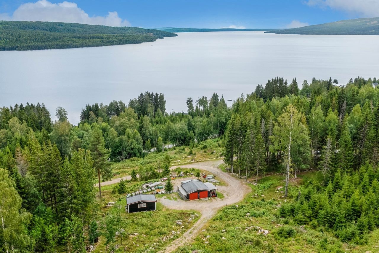 Utenga med utsikt mot sør Galleribilde