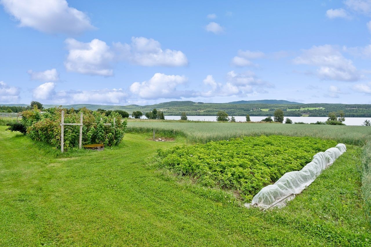 Kjøkkenhage og kornåker mellom gårdstun og Hurdalssjøen Galleribilde