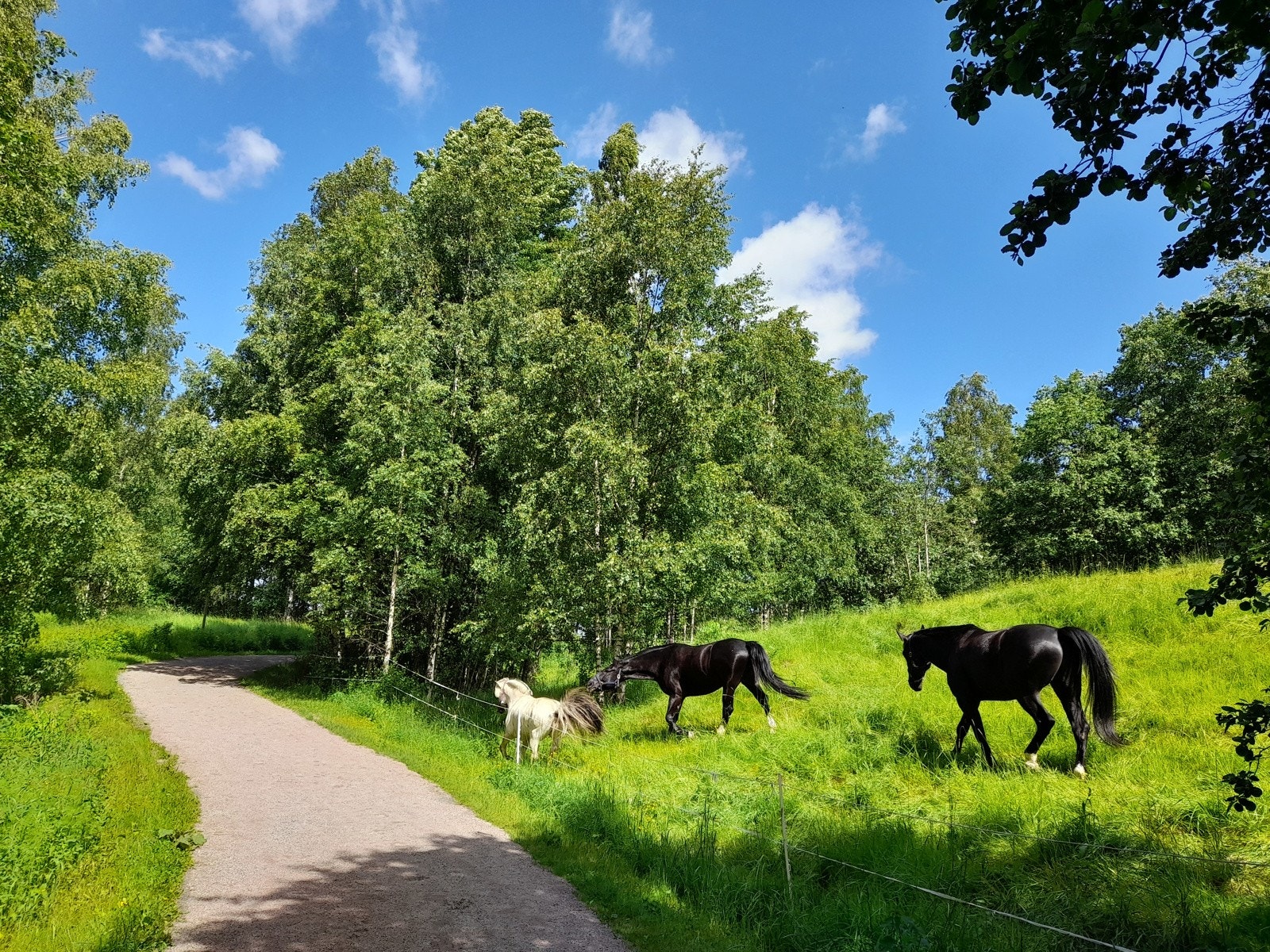 Flott natur kan nytes like ved boligen Galleribilde