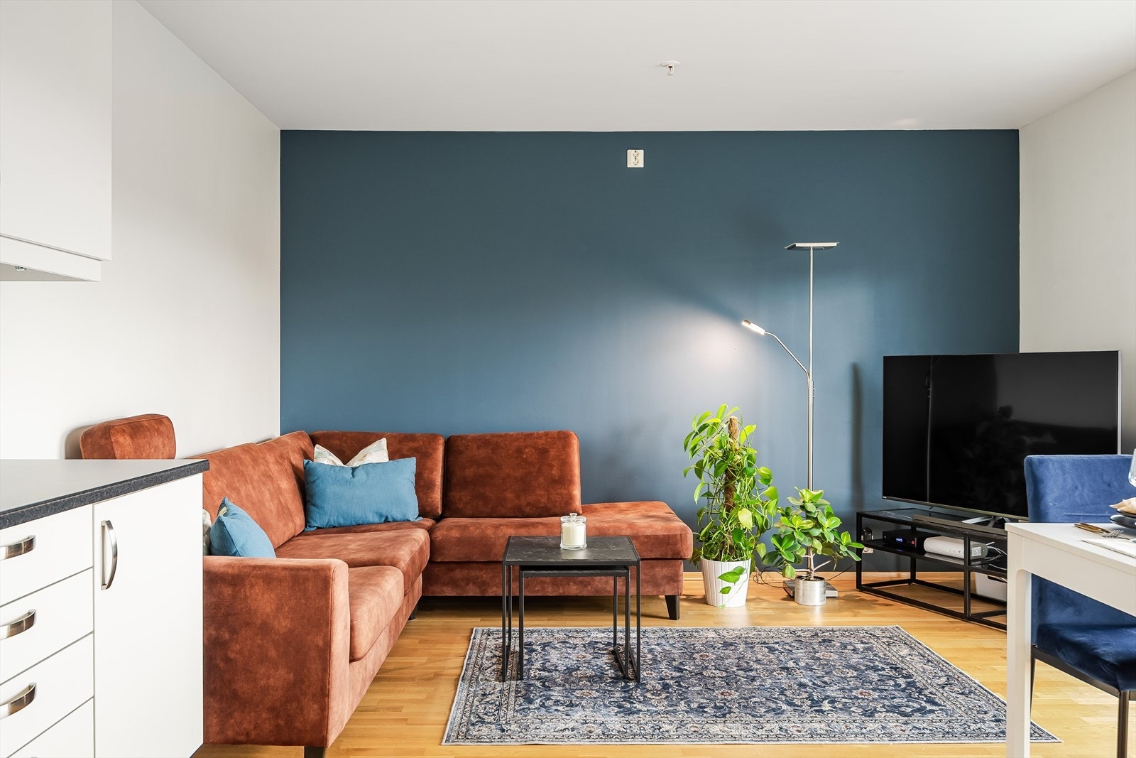 Lyst, pent og sosialt oppholdsrom med en blåmalt kontrastvegg for brytning Galleribilde