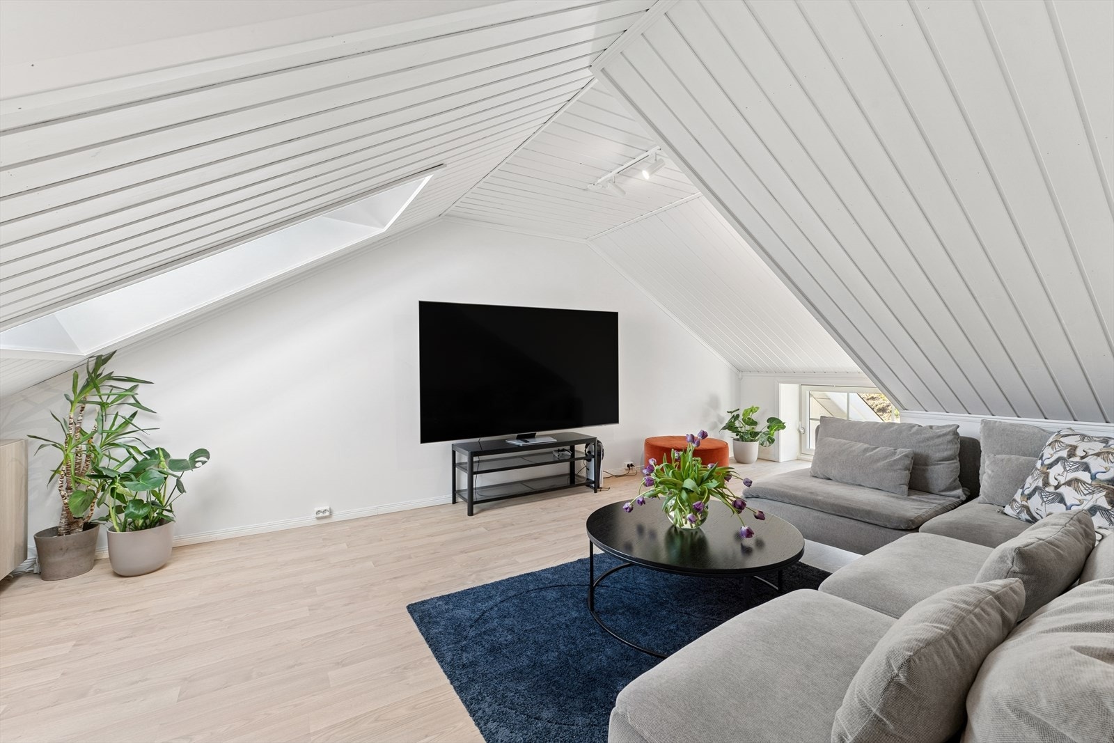 Stuen har gjennomgående lysinnslipp og fin romutforming. Galleribilde