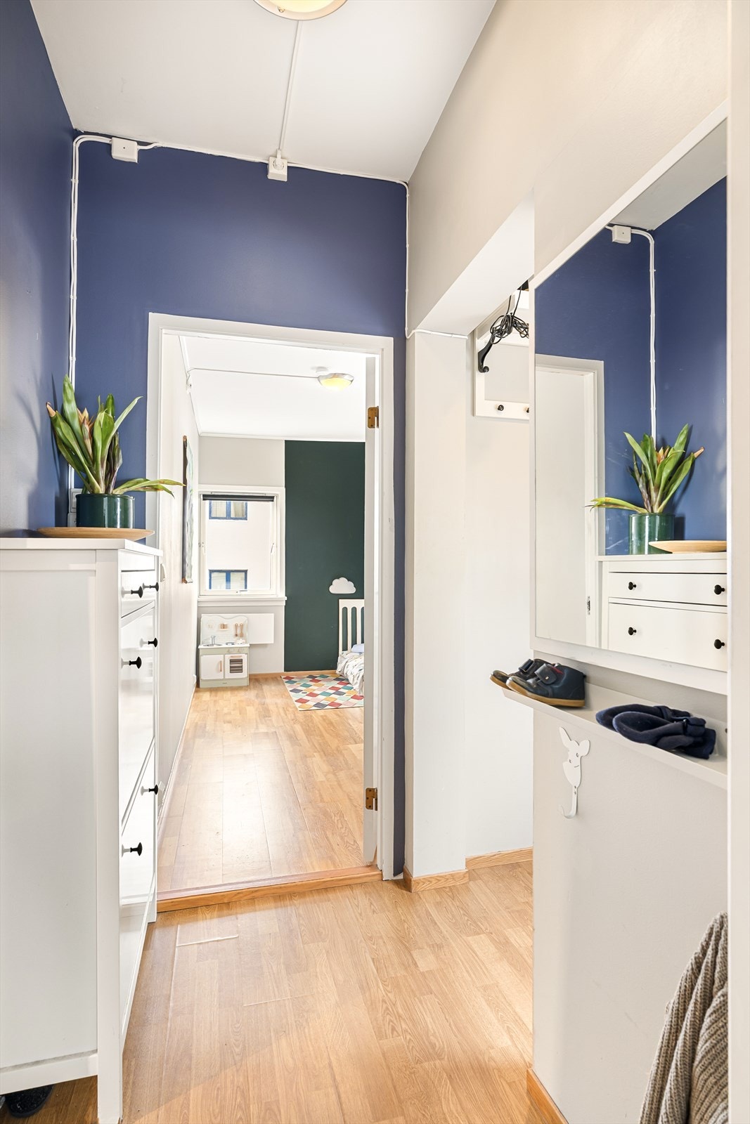 - Gangen er godt utnyttet med en rekke oppheng og oppbevaringsmuligheter - Galleribilde