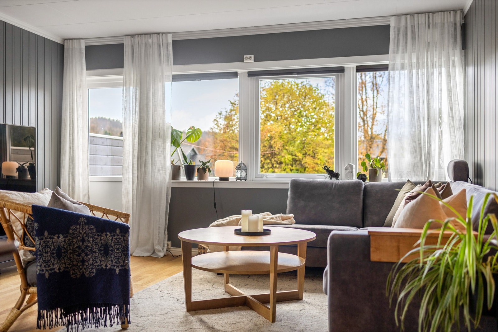 De store vindusflatene gir boligen godt med naturlig lys inn Galleribilde