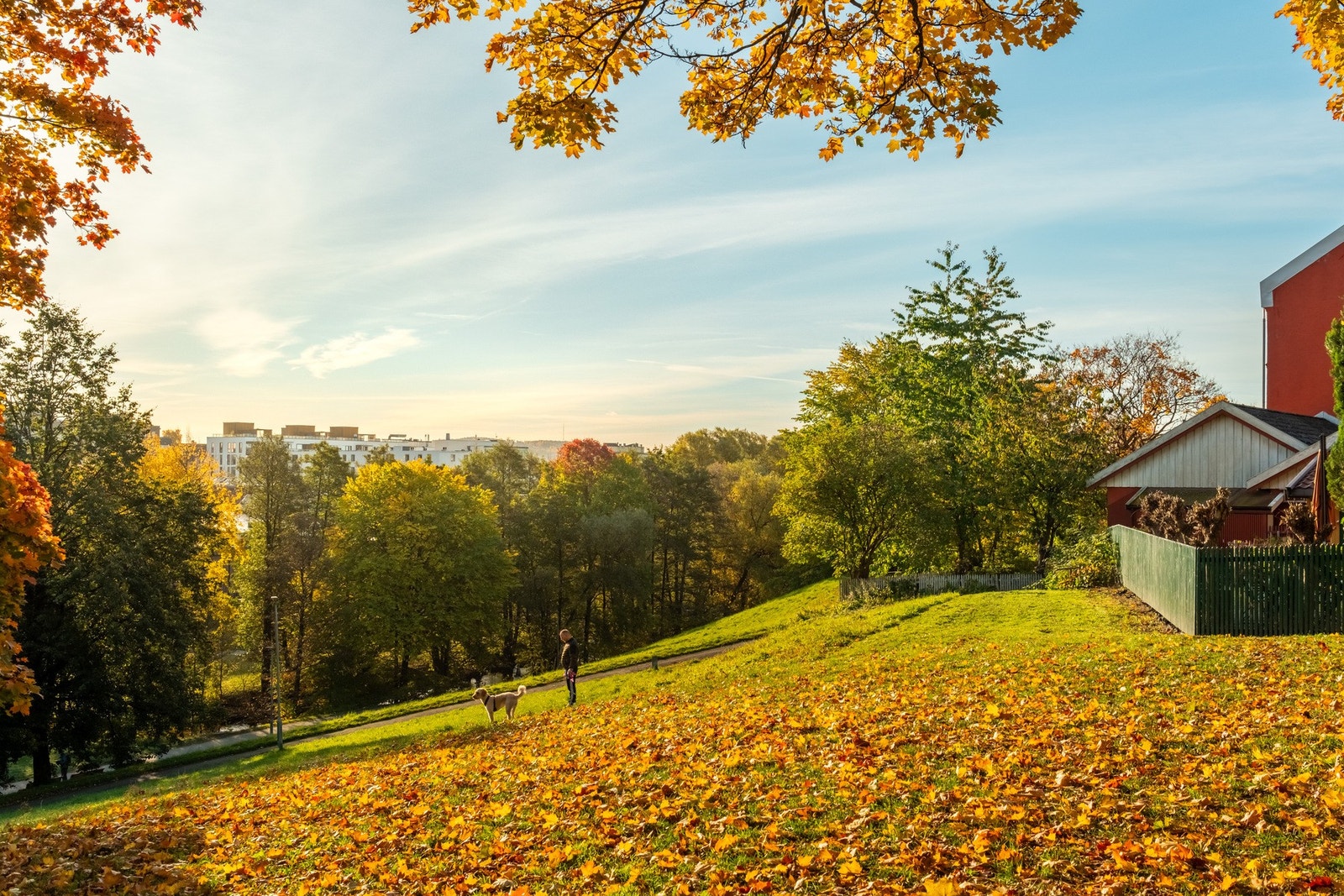 Parken Myraløkka ligger rett nedenfor boligen, har store og frodige grøntområder på sommeren og akebakker på vinteren. Galleribilde