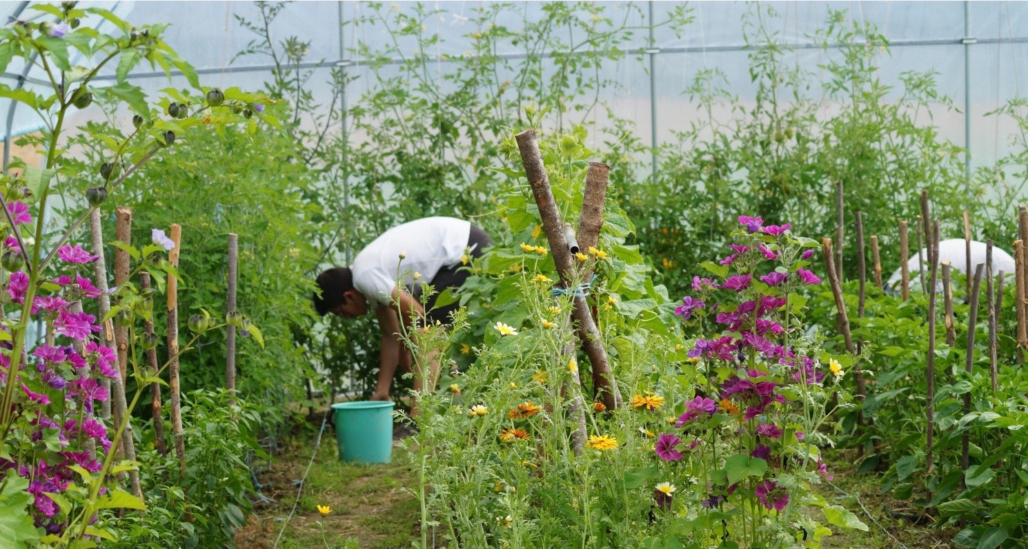 Illustrasjonsbilde Galleribilde