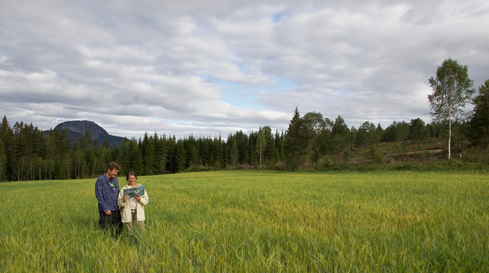 Illustrasjonsbilde Galleribilde
