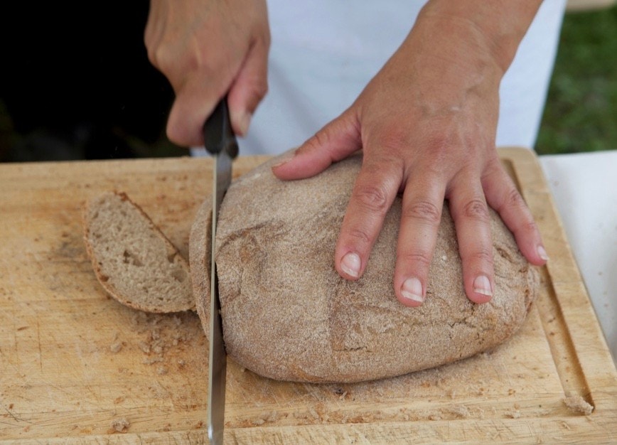 Illustrasjonsbilde Galleribilde