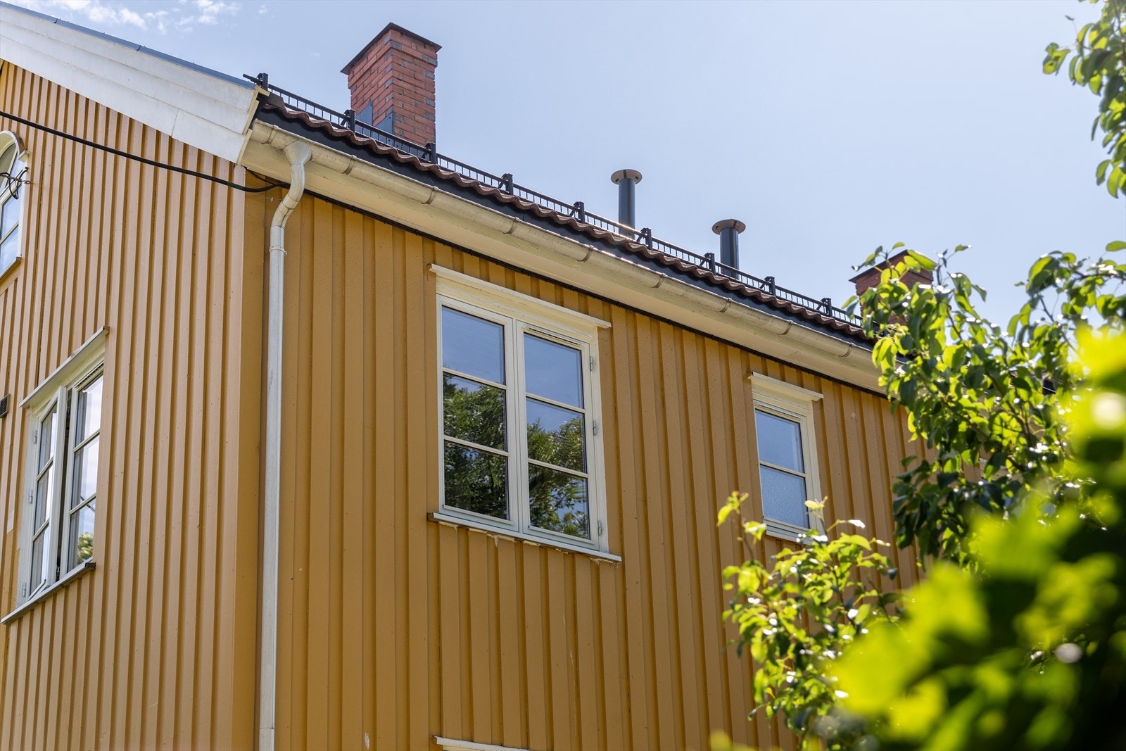 Da tar vi turen inn. Galleribilde