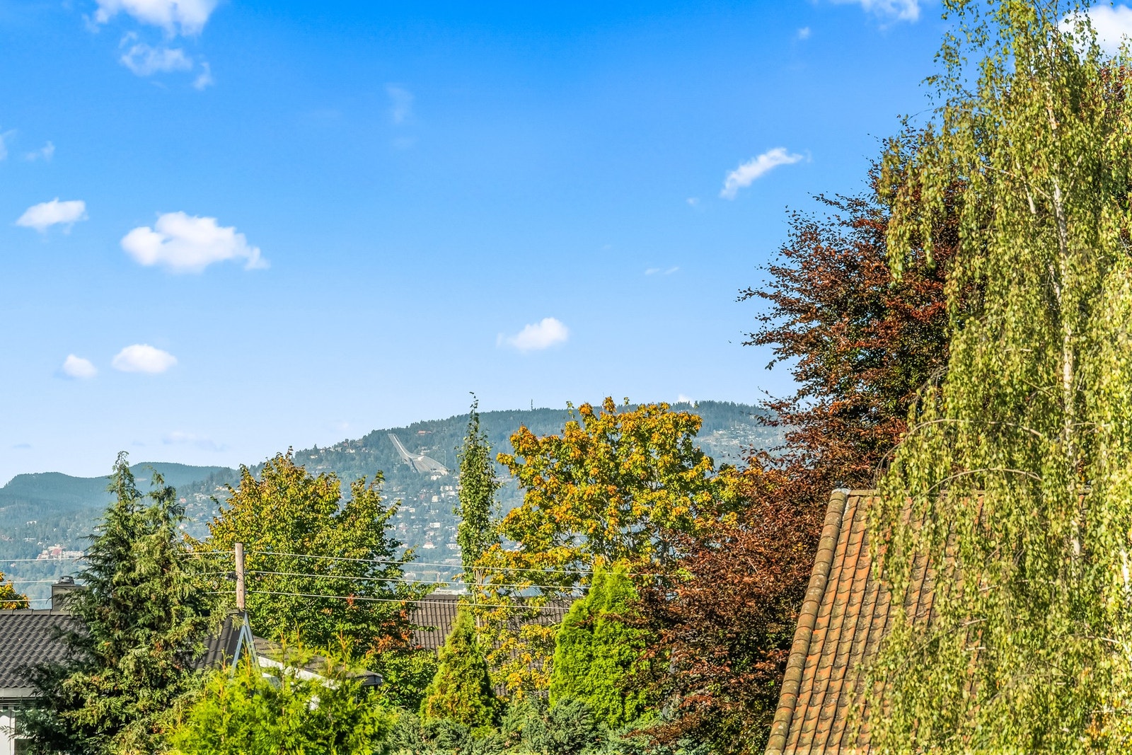 Panoramautsikt fra takterrassen mot Holmenkollen og de grønne åsene i det fjerne Galleribilde