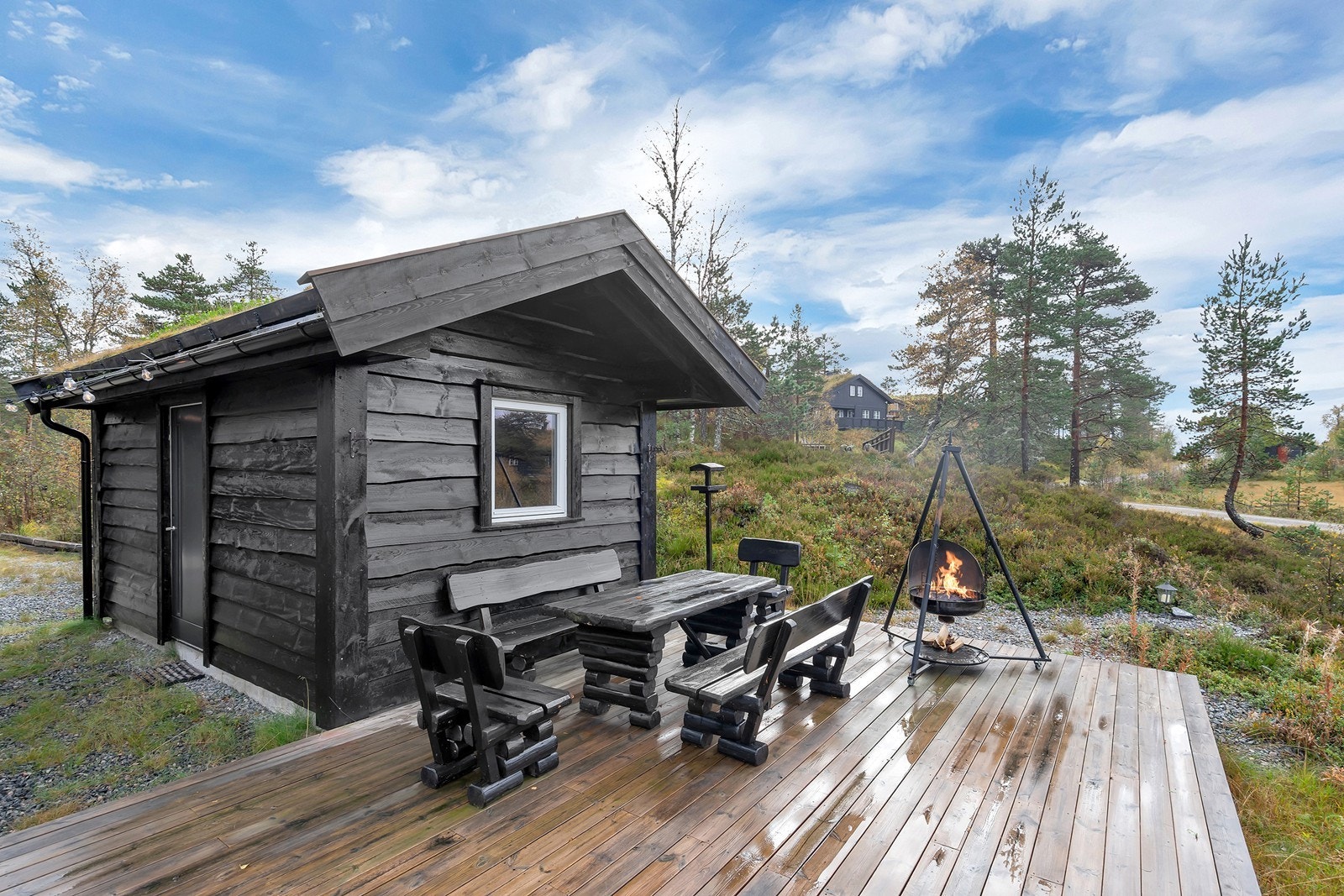 Naturen like utenfor hytta Galleribilde