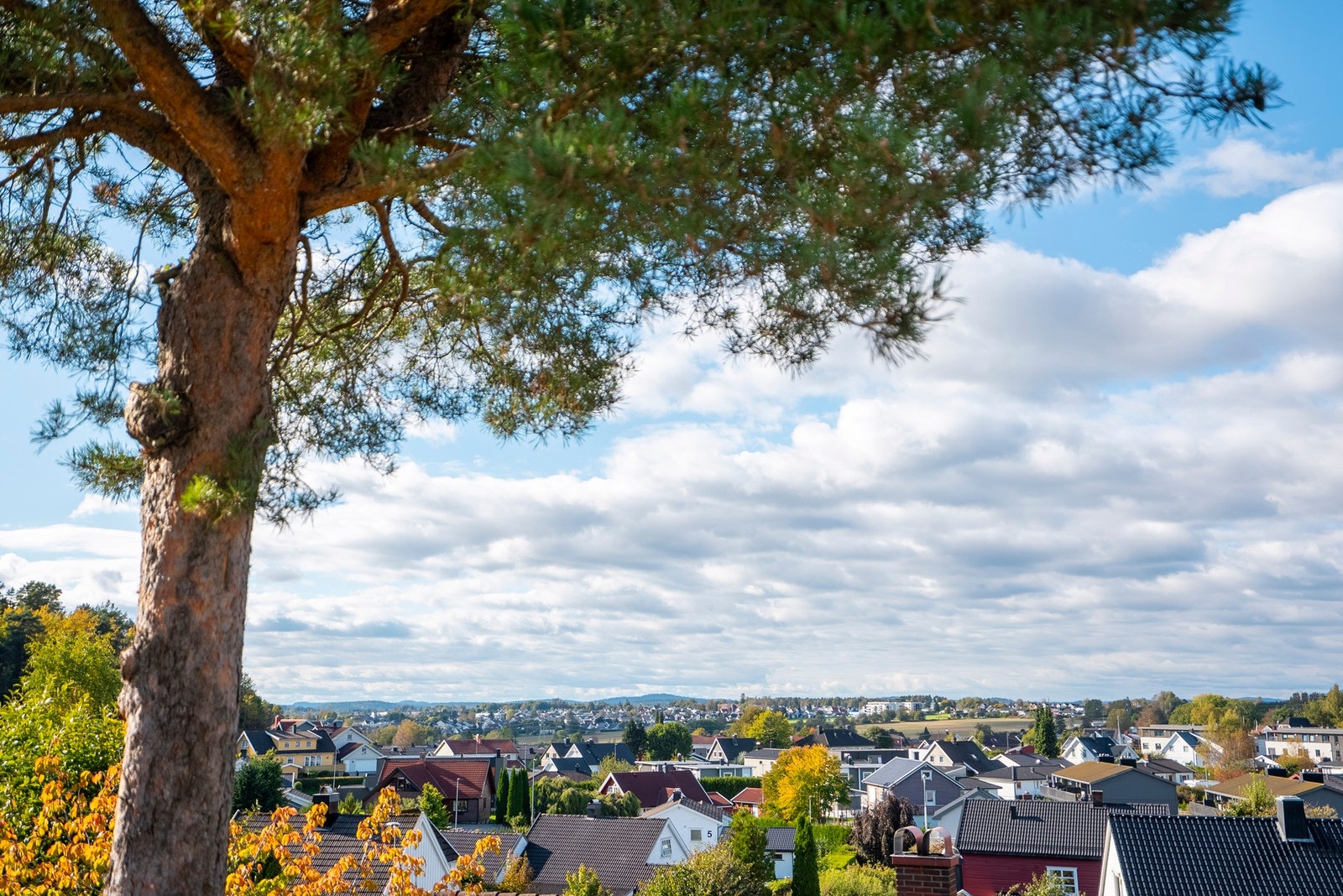 Utsikt fra stuen mot vest Galleribilde