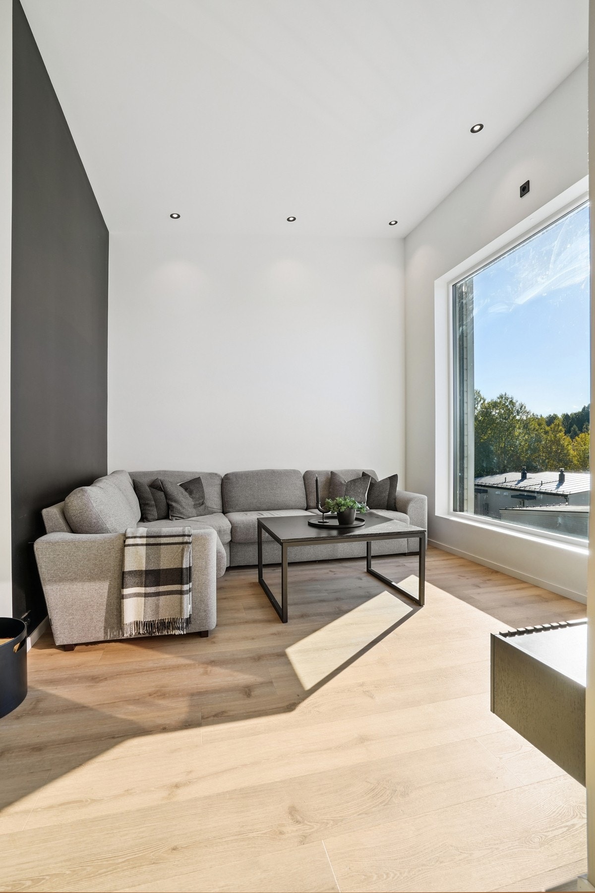 God plass til sofagruppe med tilhørende møblering i egen sone i stuen. Galleribilde