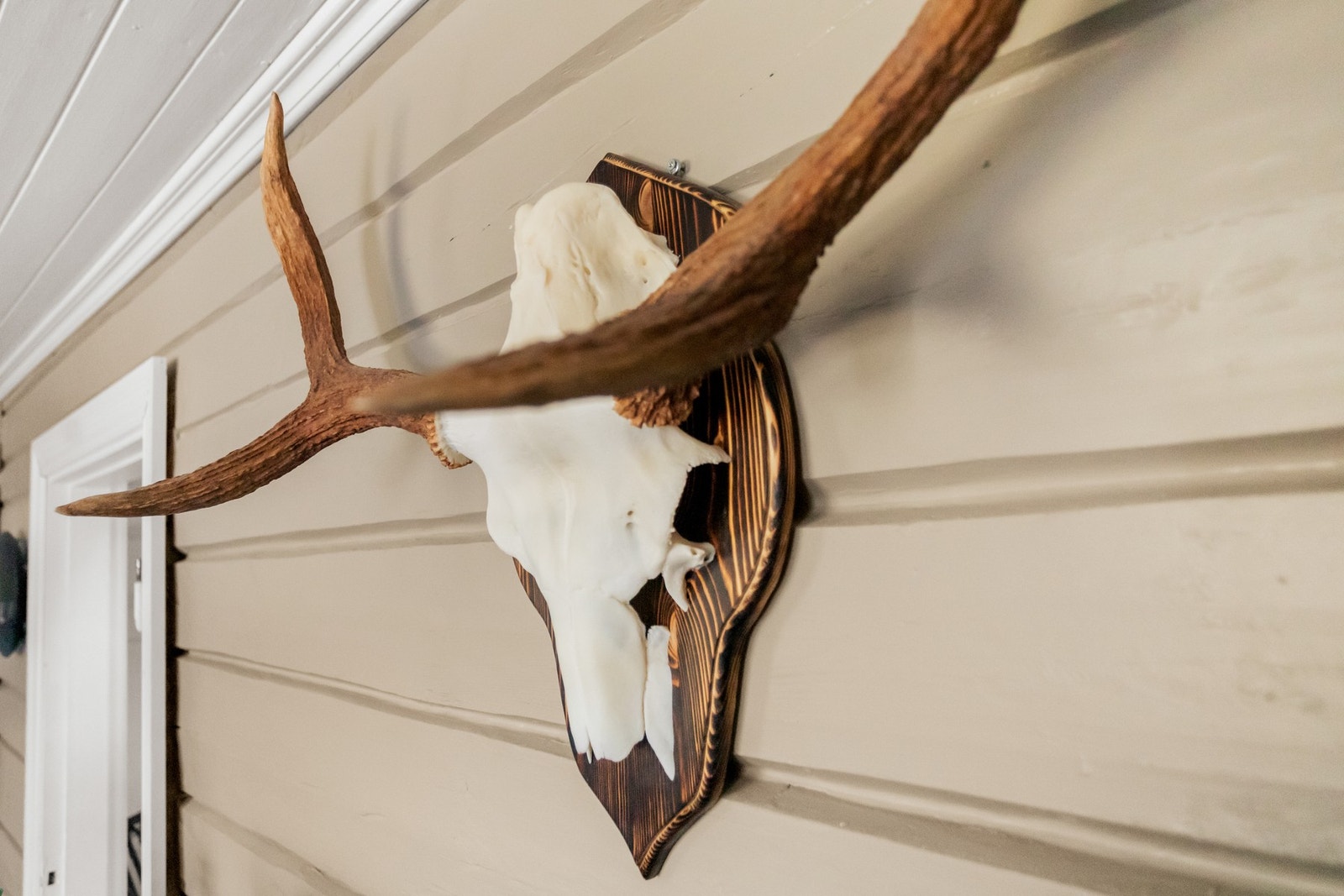 Drangedal er en kommune med stor interesse for jakt og fiske. Galleribilde