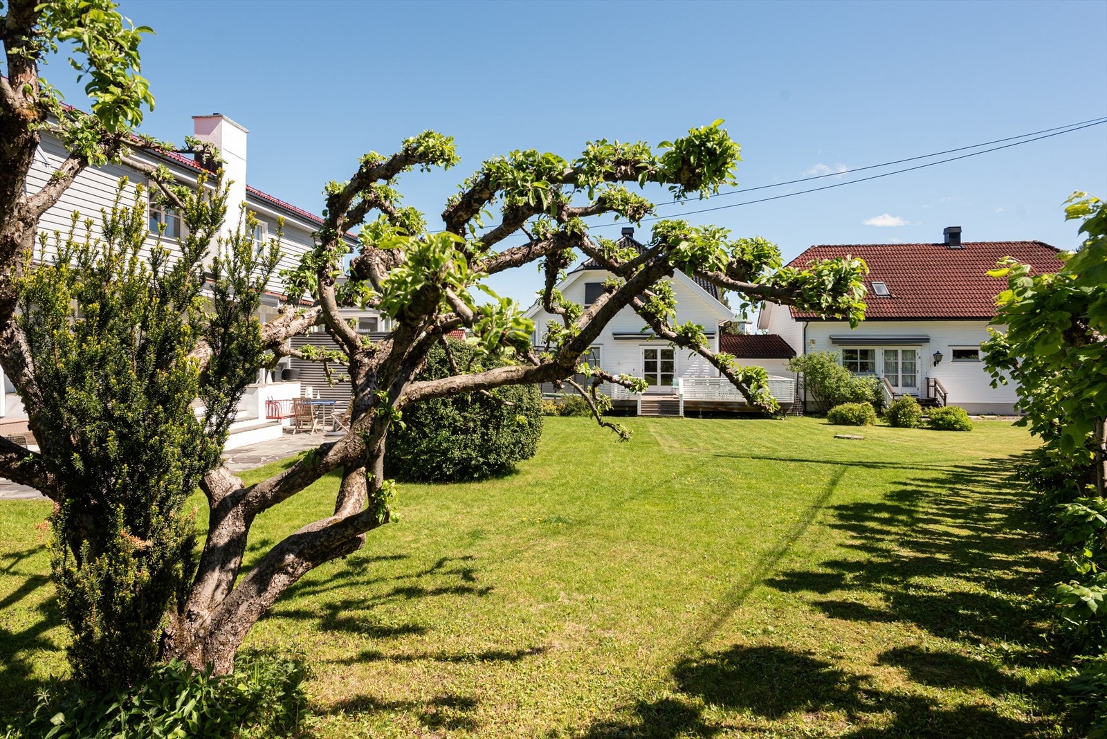 Frodig hage med vakre trær og god boltreplass for store og små. Galleribilde