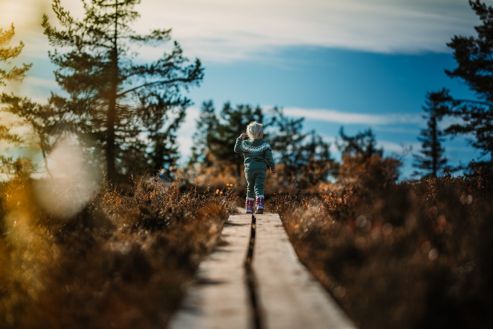 Flotte turstier med klopper i området Galleribilde
