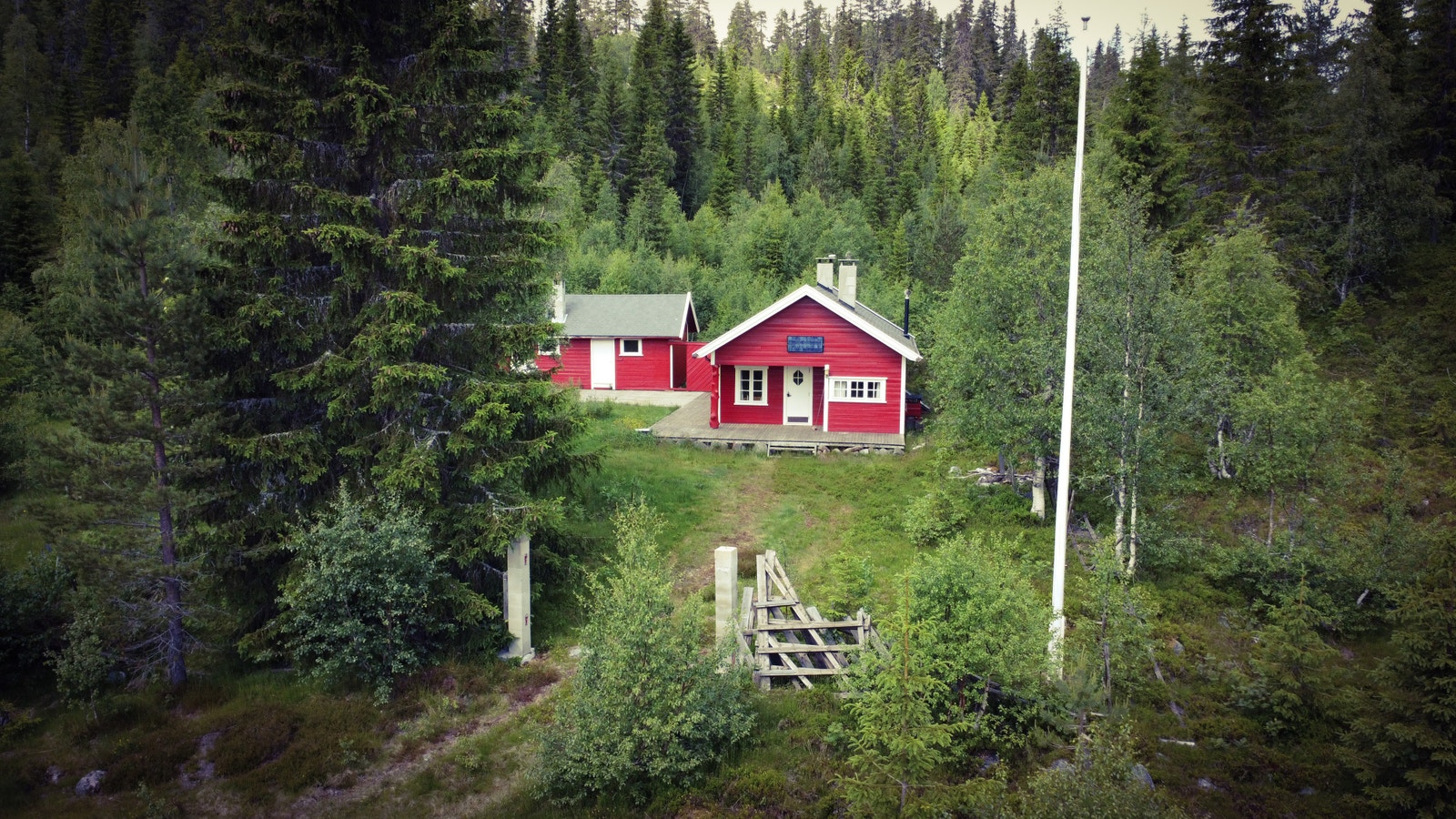 Idyllisk og usjenert i skogen Galleribilde