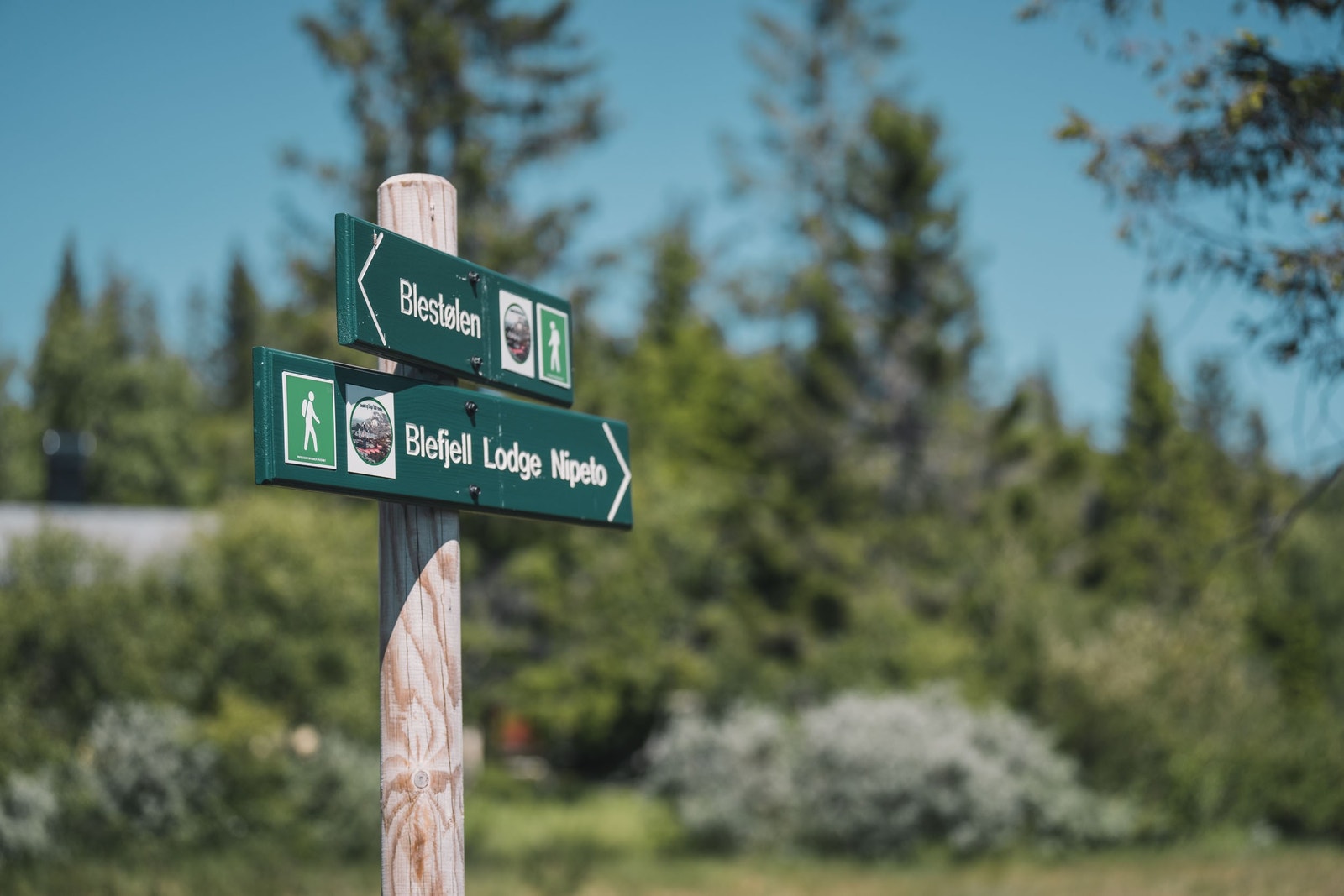 Oppmerket løypenett sommer og vinter Galleribilde