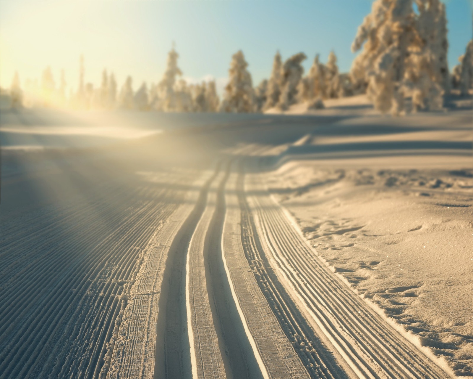 Nærløype: Nipetorunden Galleribilde