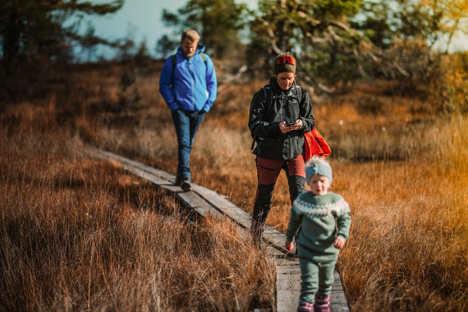 Flotte turstier med klopper i området Galleribilde