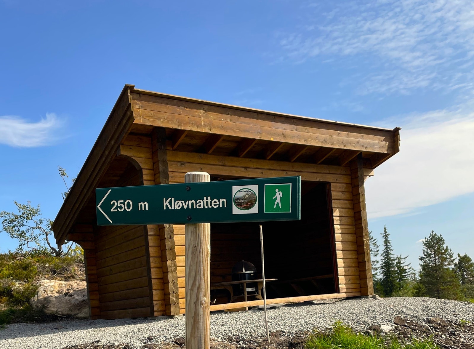 Gapahauk i nærområdet, rett ved Kløvnatten Galleribilde