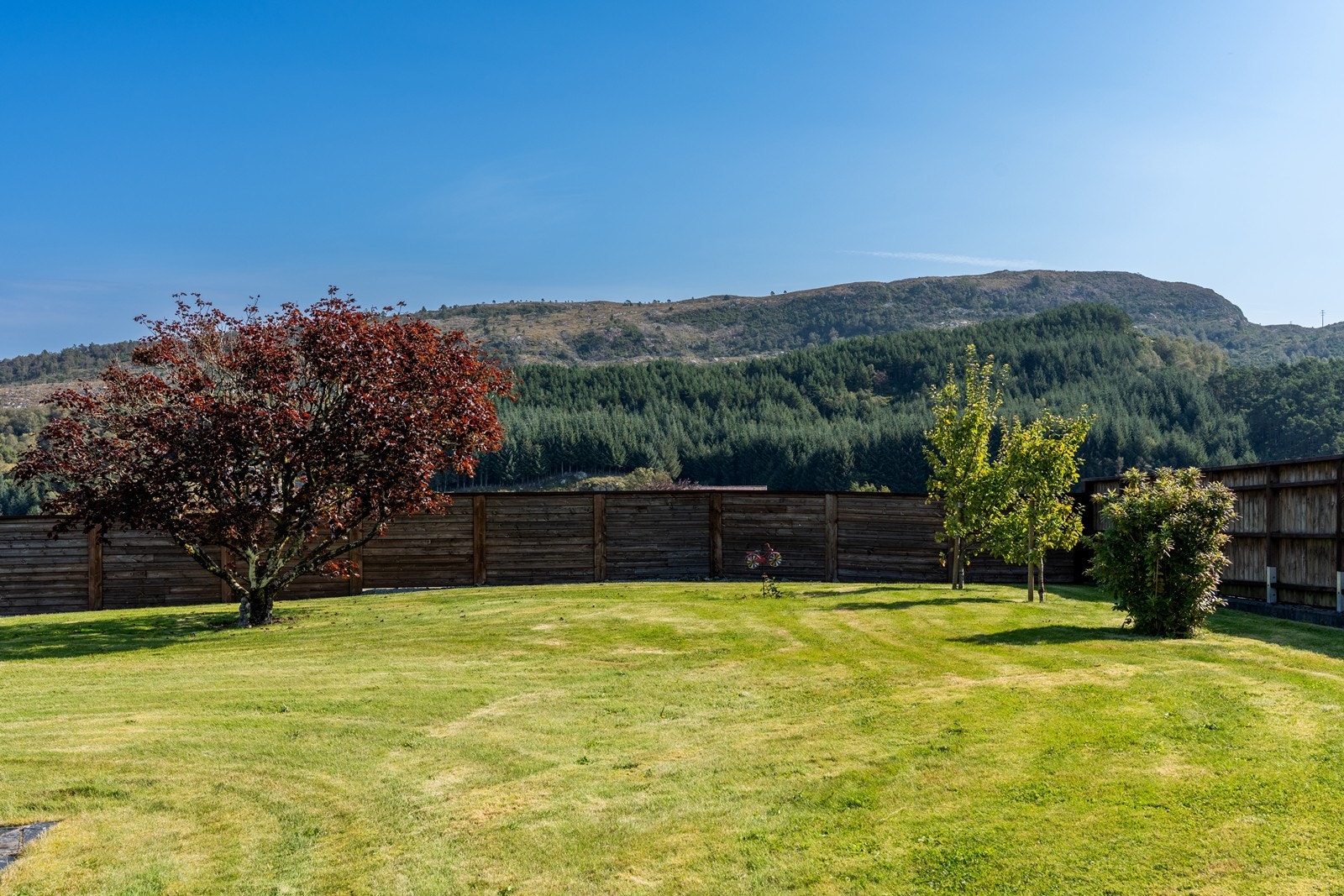Utvendig byr eiendommen blant annet på velstelt hage med stor plen Galleribilde
