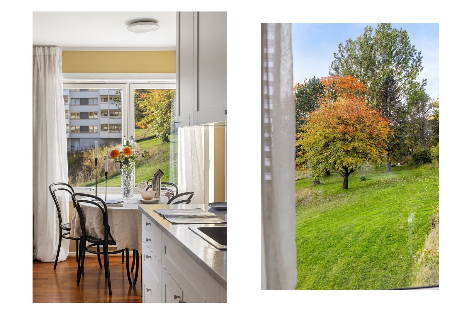 Flott utsikt selv når du sitter innendørs! Galleribilde