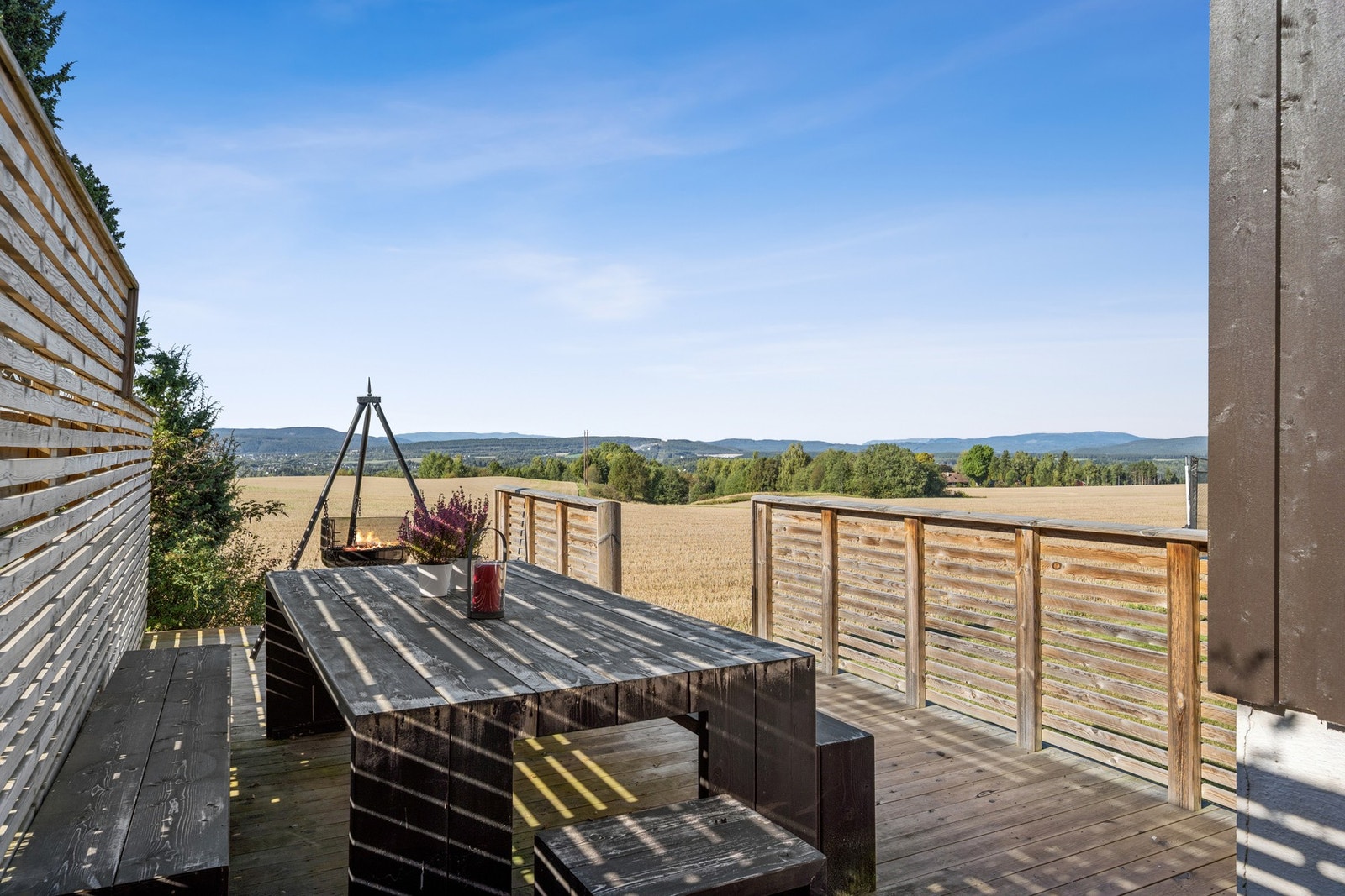 Her kan du finne roen. Galleribilde