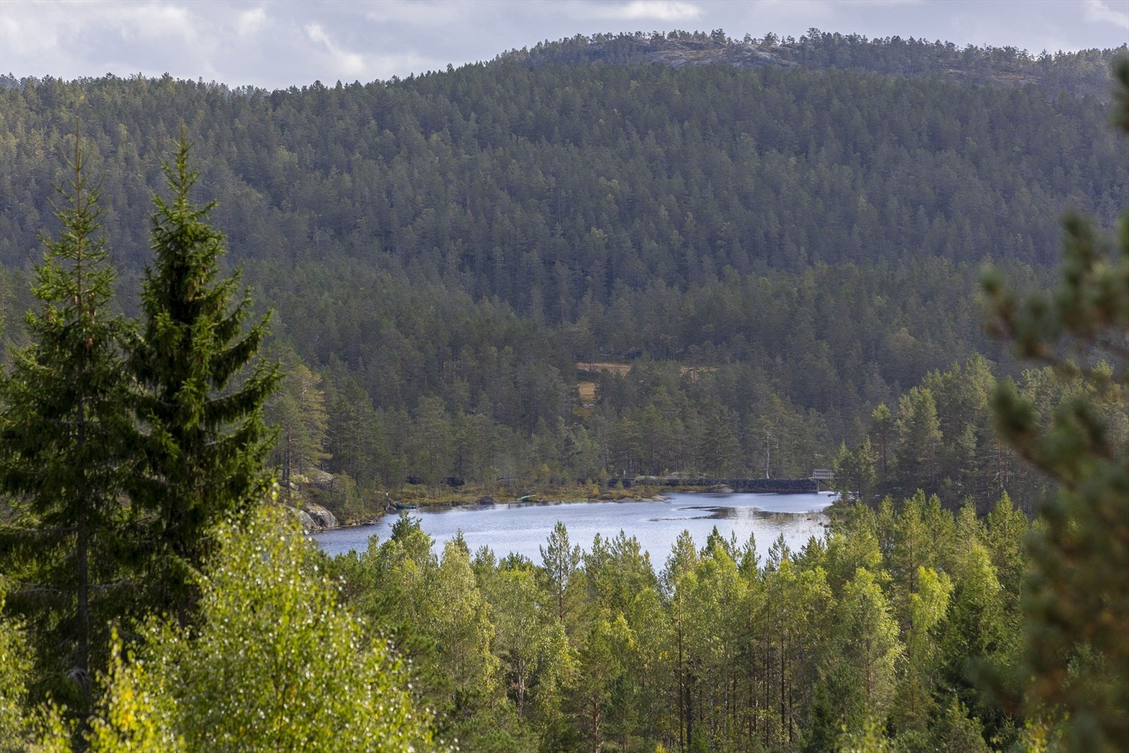 Utsikt fra eiendommen Galleribilde