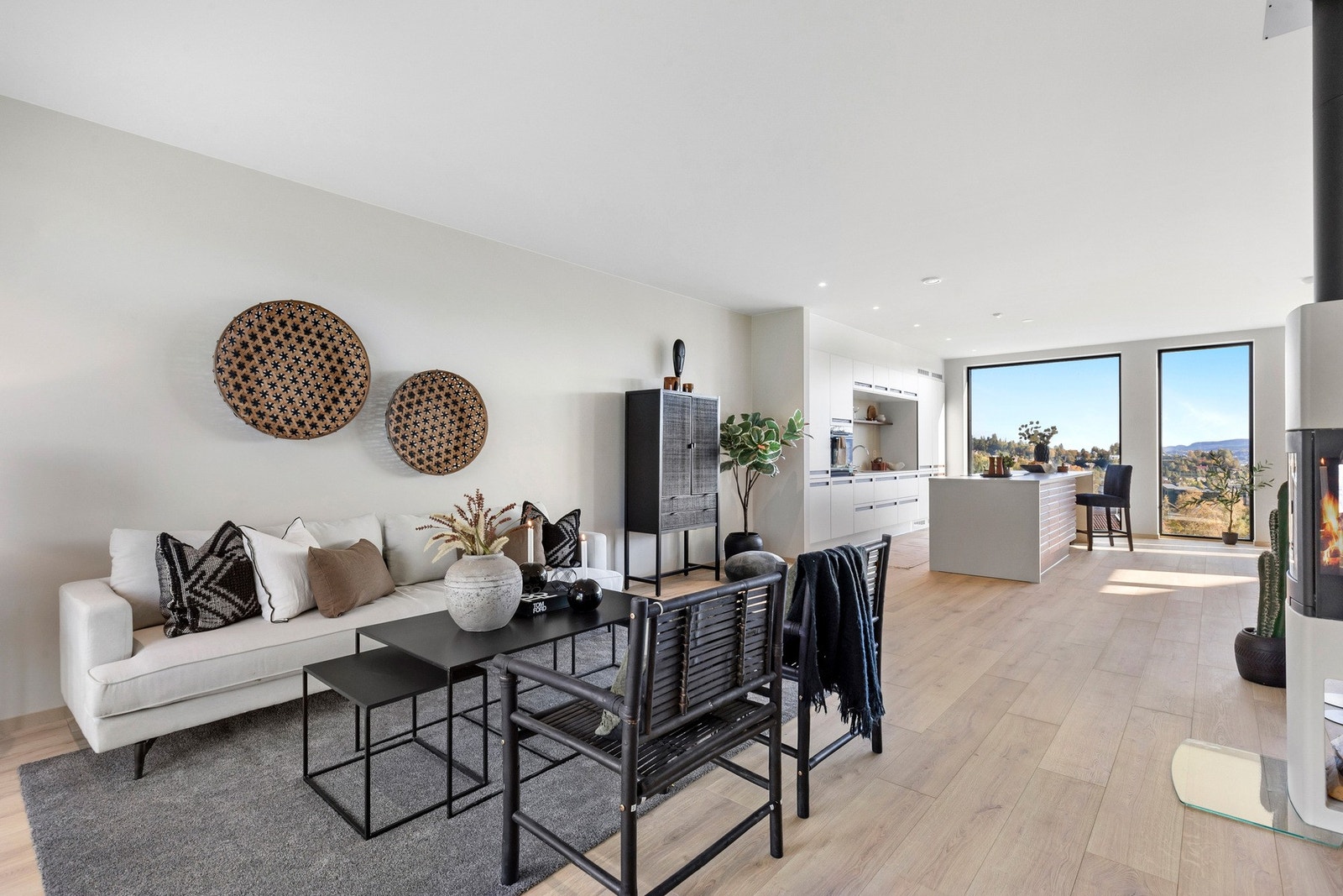 Moderne vedovn (Nordpeis Lisboa) med glass på 3 sider, luftspyling og vednisje. Galleribilde