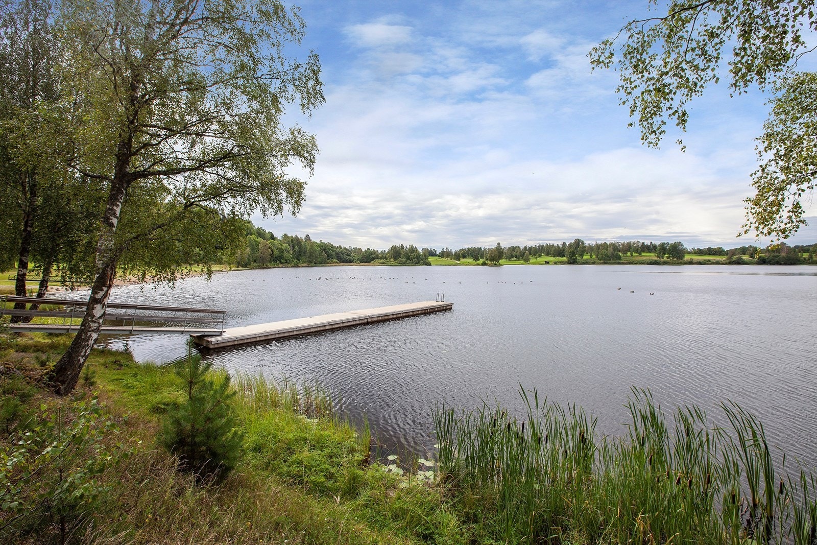 Det er kort avstand til Bogstadvannet som er en flott sandstrand med mulighet for bading og grilling på sommerstid Galleribilde