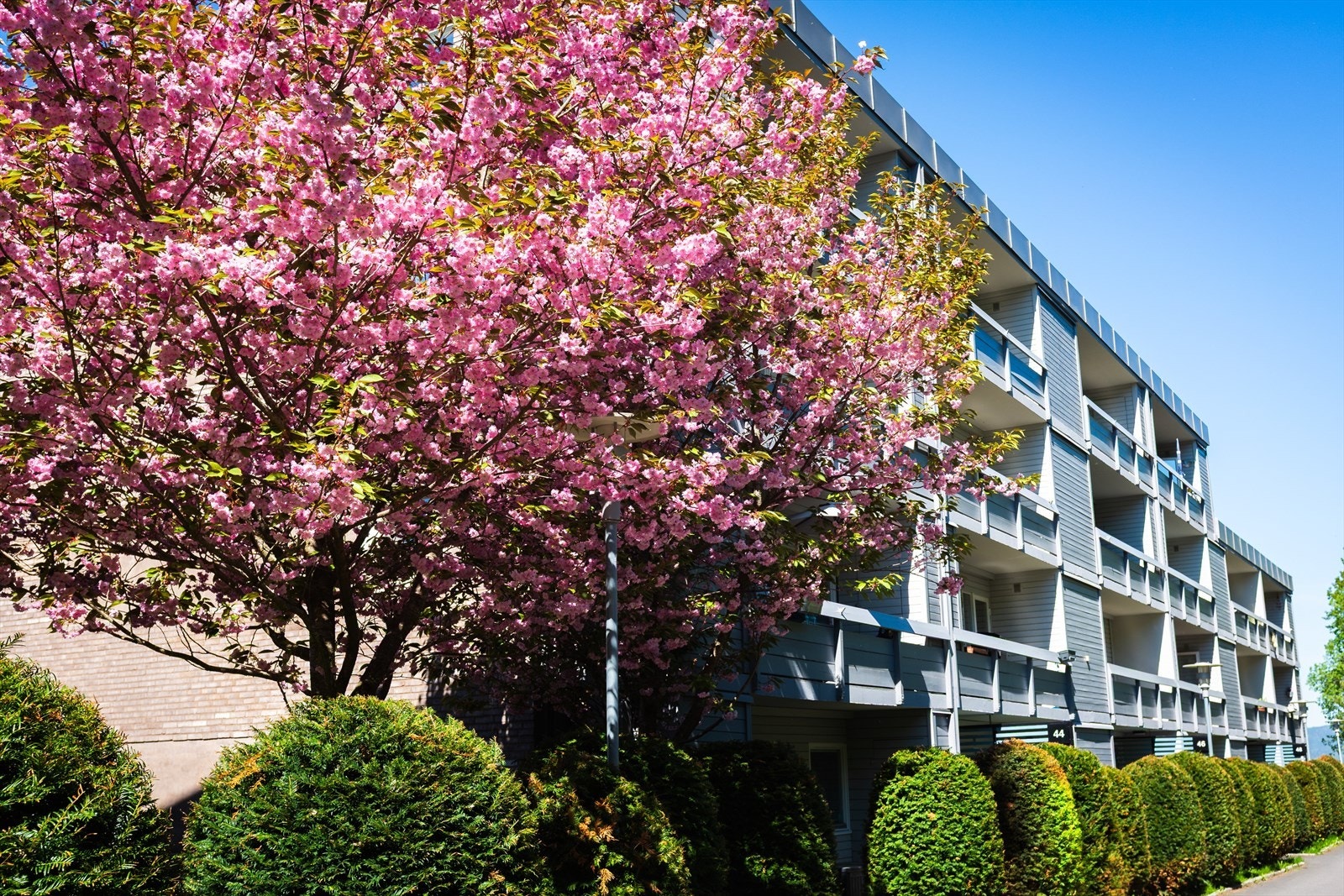 Fasade ved inngangsparti Galleribilde