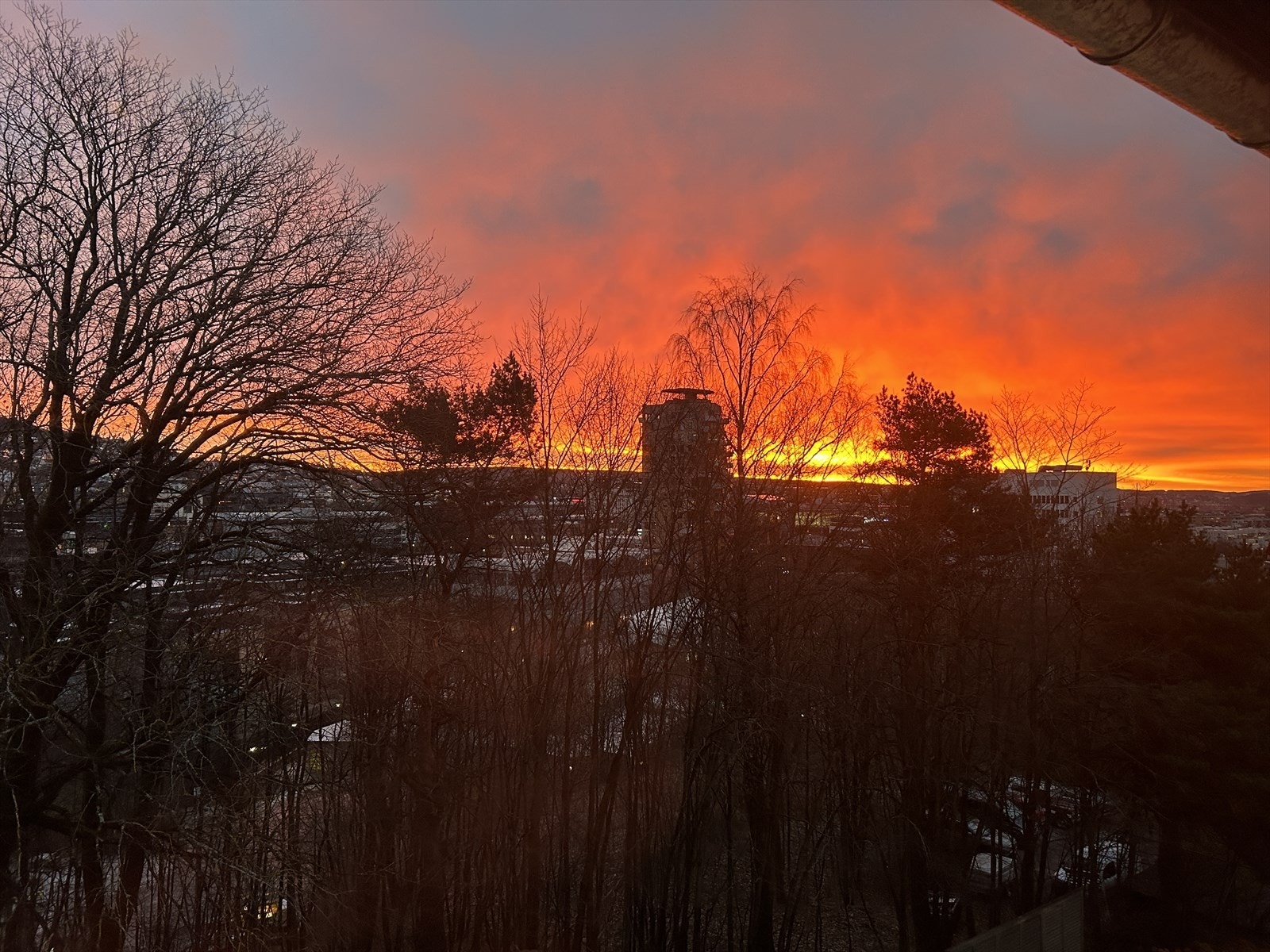 Soloppgang fra soverommet. Galleribilde