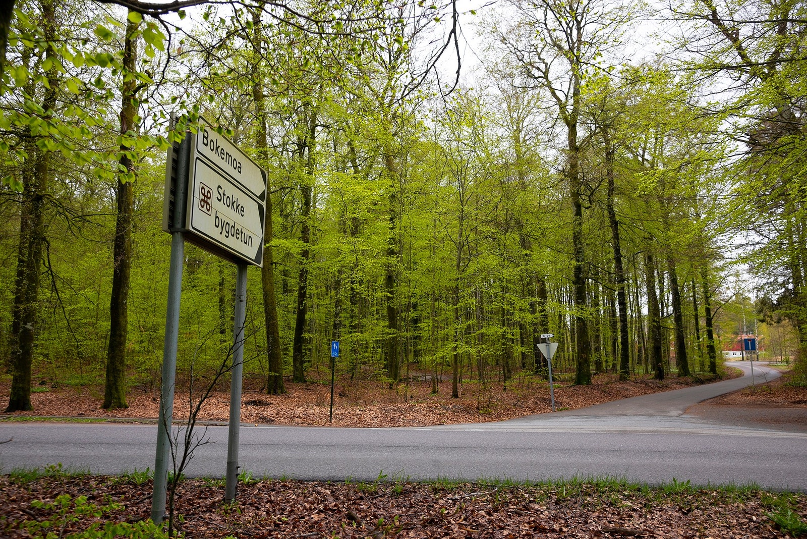 I Bokemoa har du fine turområder og et hyggelig markedsområde Galleribilde