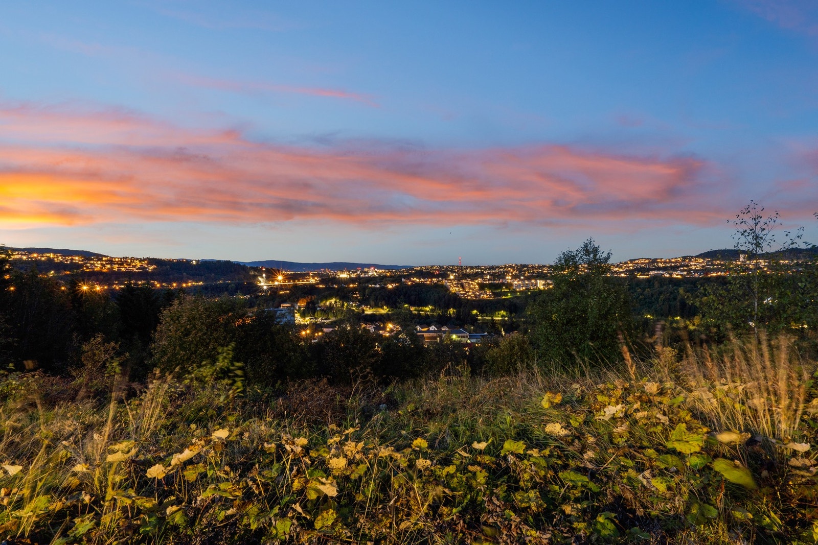 Boligfeltet har helt nydelig utsikt over Trondheim! Galleribilde