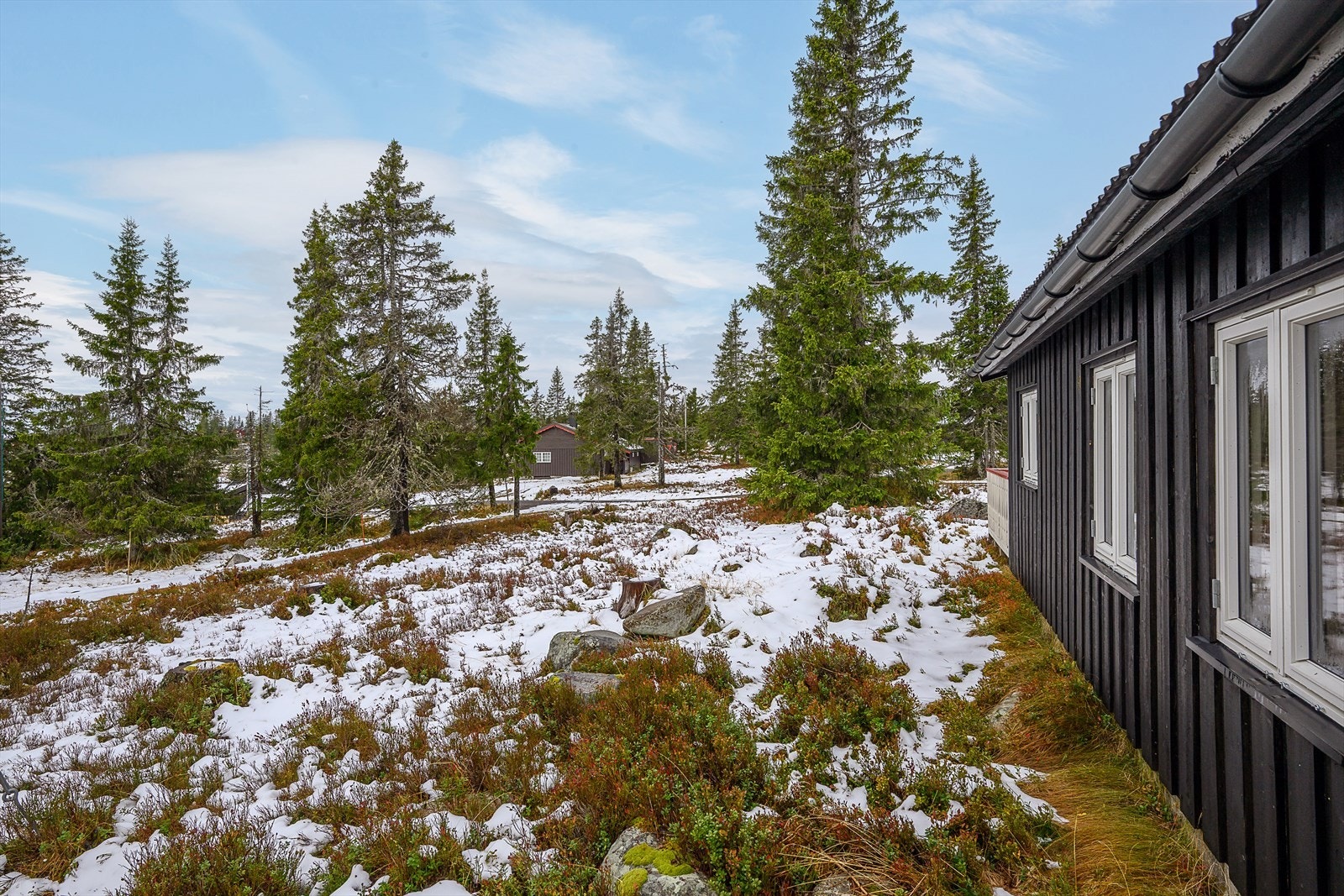 Det er naturtomt rundt hytta. Fine solforhold. Galleribilde