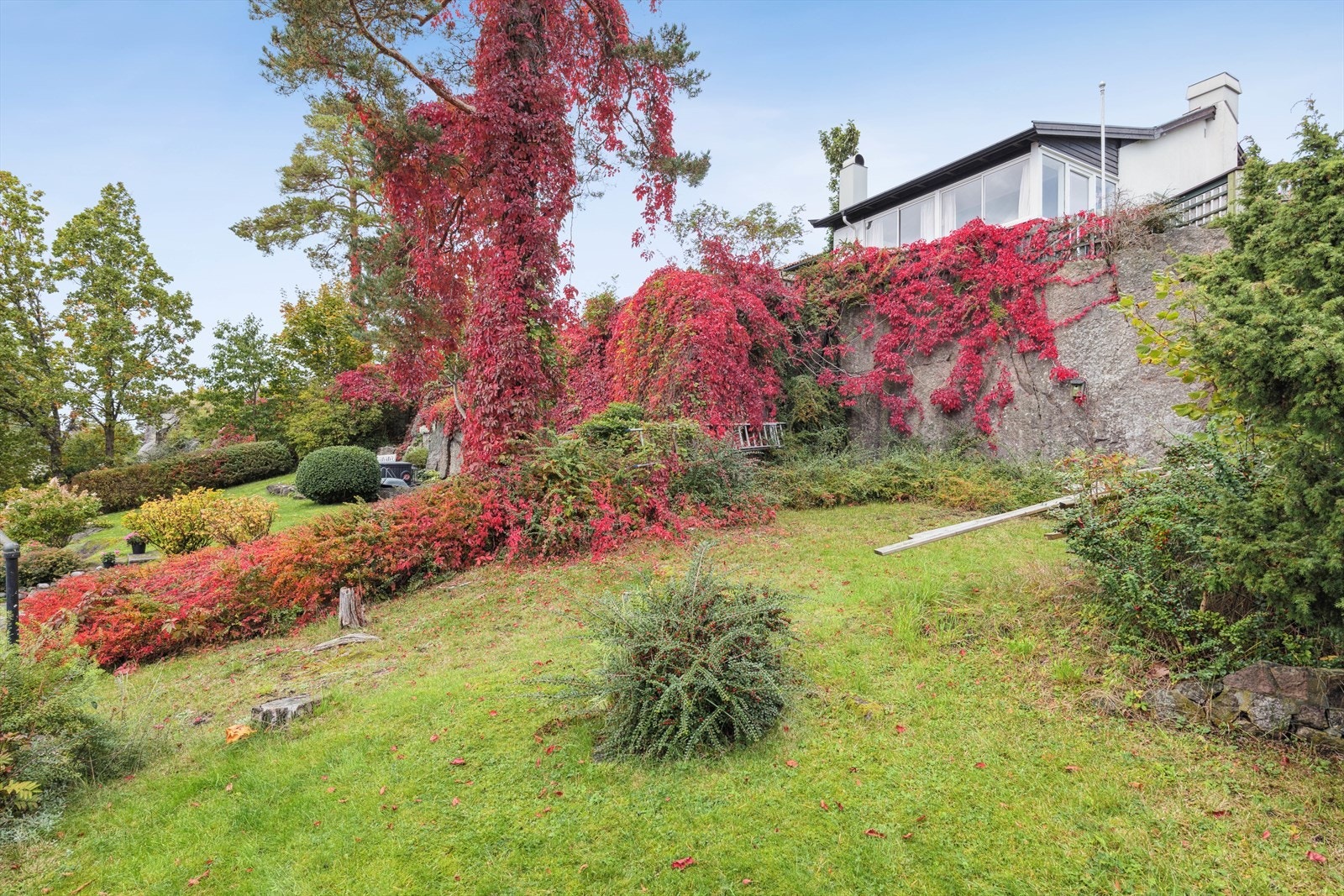 Vakre høstfarger i hagen. Galleribilde