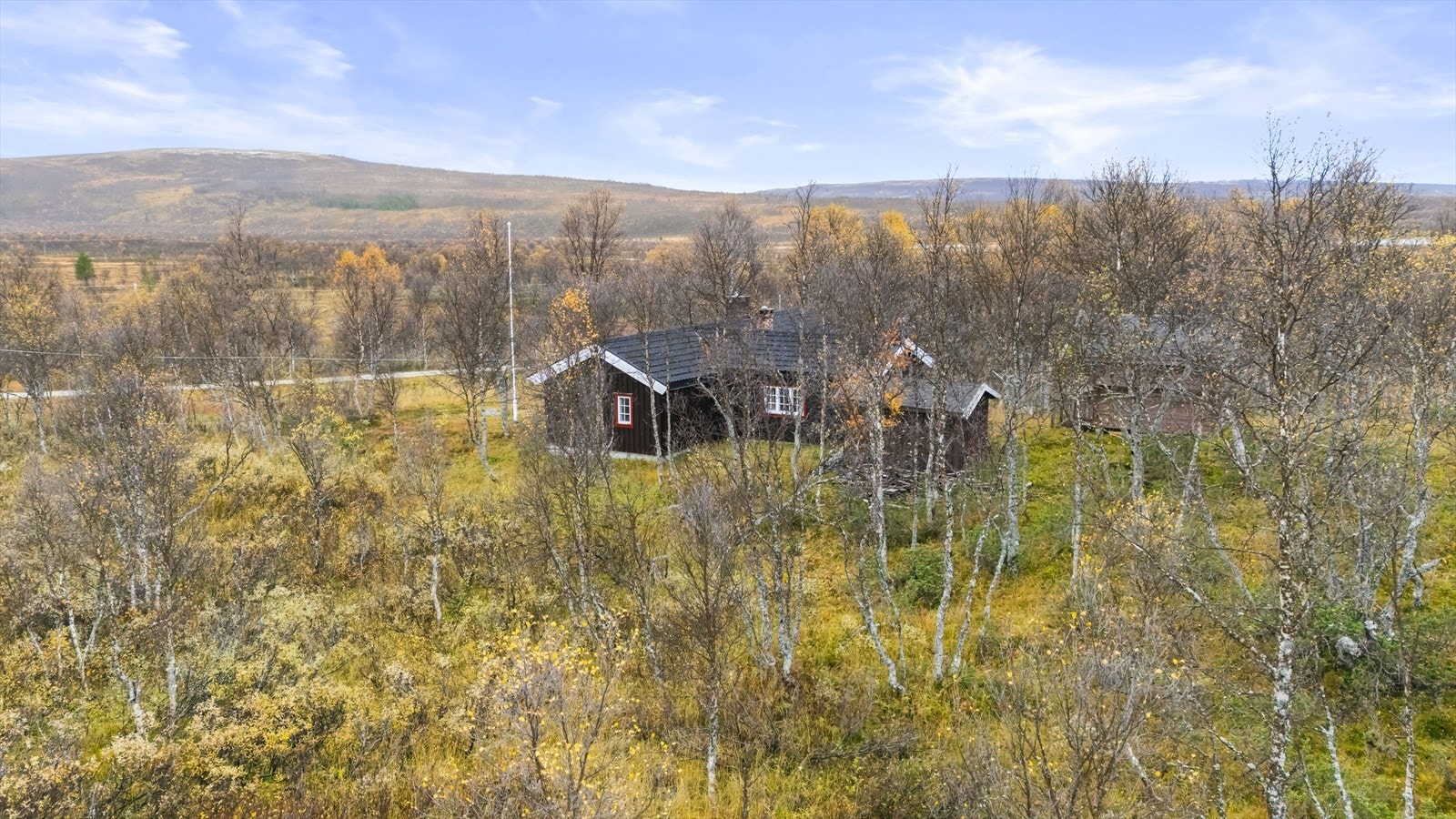 Dronebilde. Galleribilde