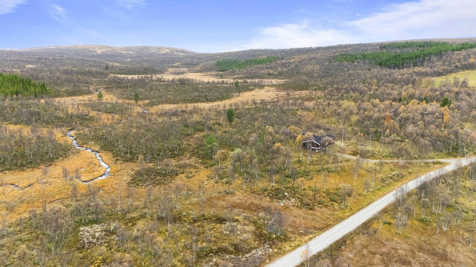 Dronebilde. Galleribilde