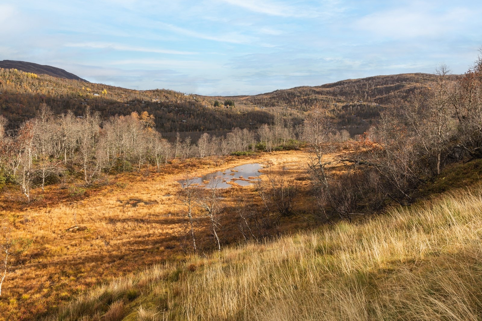 Kort vei til flott natur Galleribilde