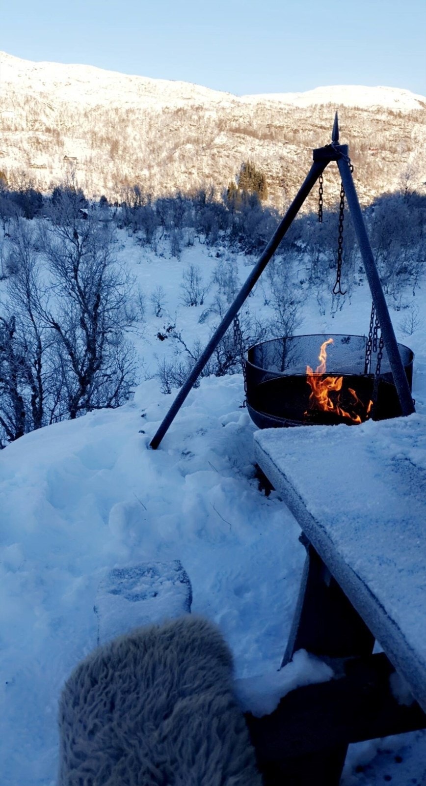 Selgers eget bilde. Like fint sommer som vinter! Galleribilde