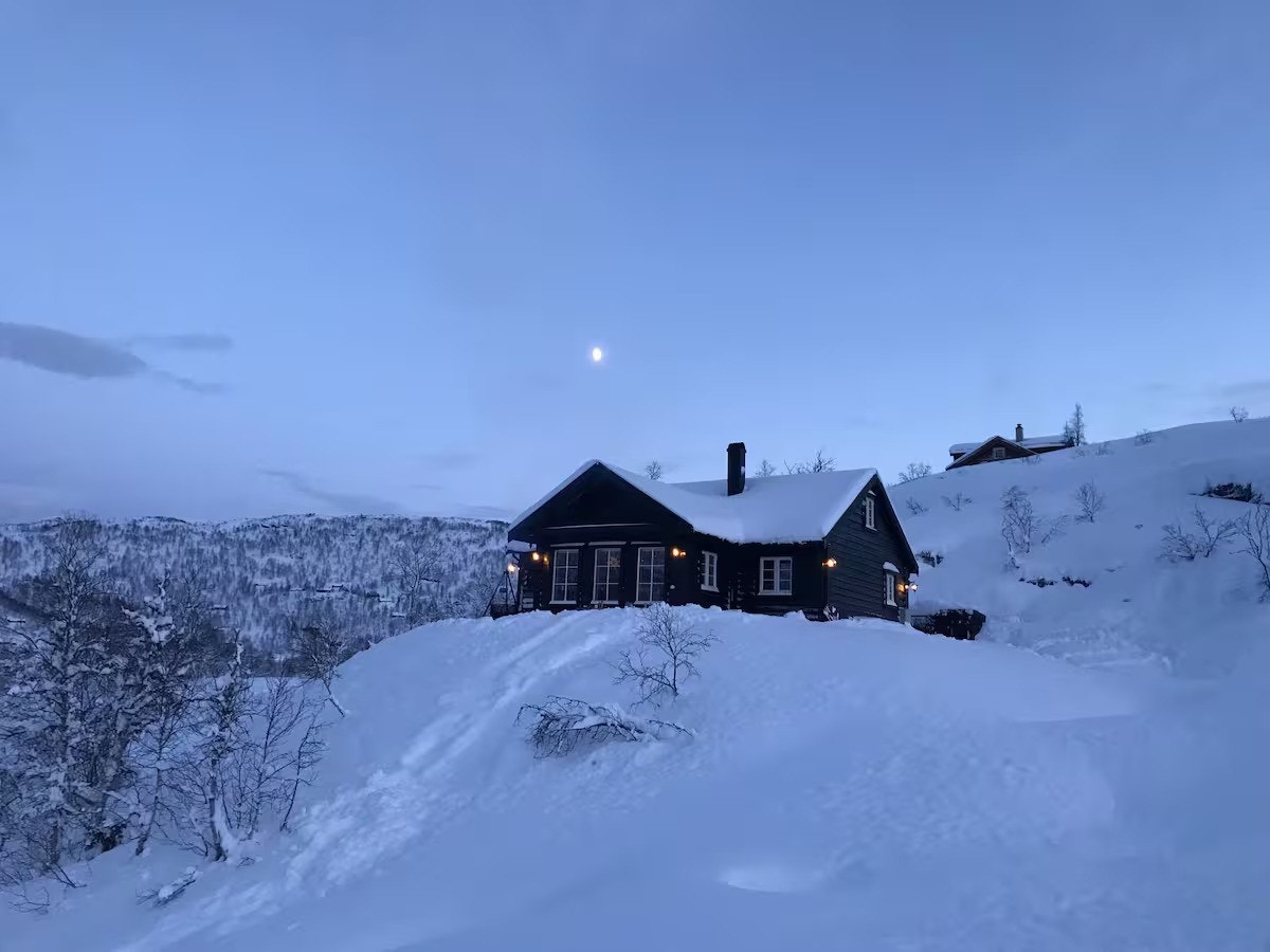 Selgers eget bilde. Vinteridyll. Galleribilde