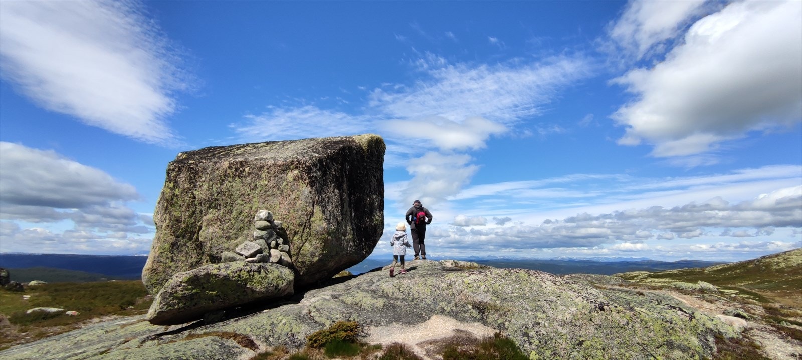 dusehesten.jpg Galleribilde