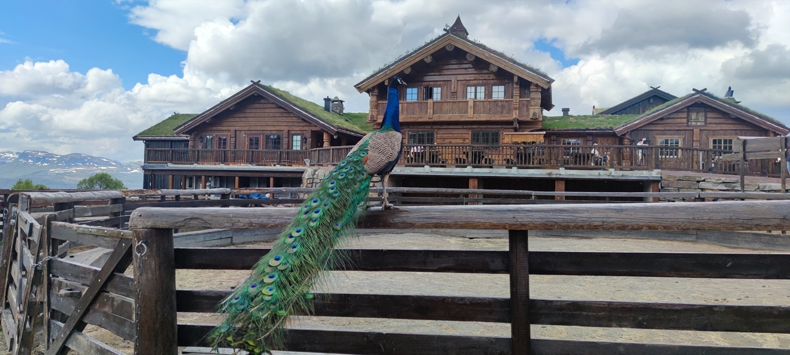Langedrag Naturpark ligger bare 15 minutters kjøring fra hytta. Galleribilde