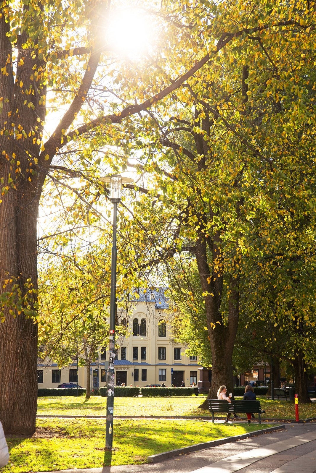 Områdebilde. Galleribilde