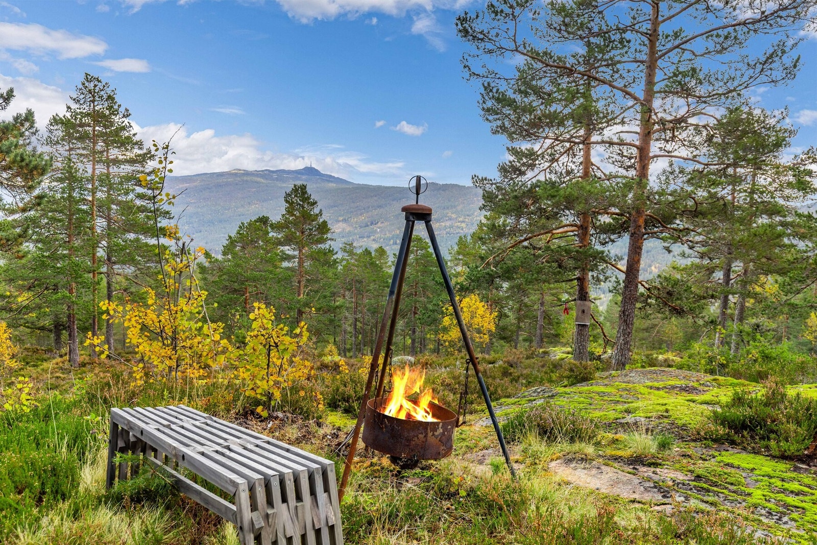 Perfekt samlingsplass for familie og venner året rundt, Galleribilde