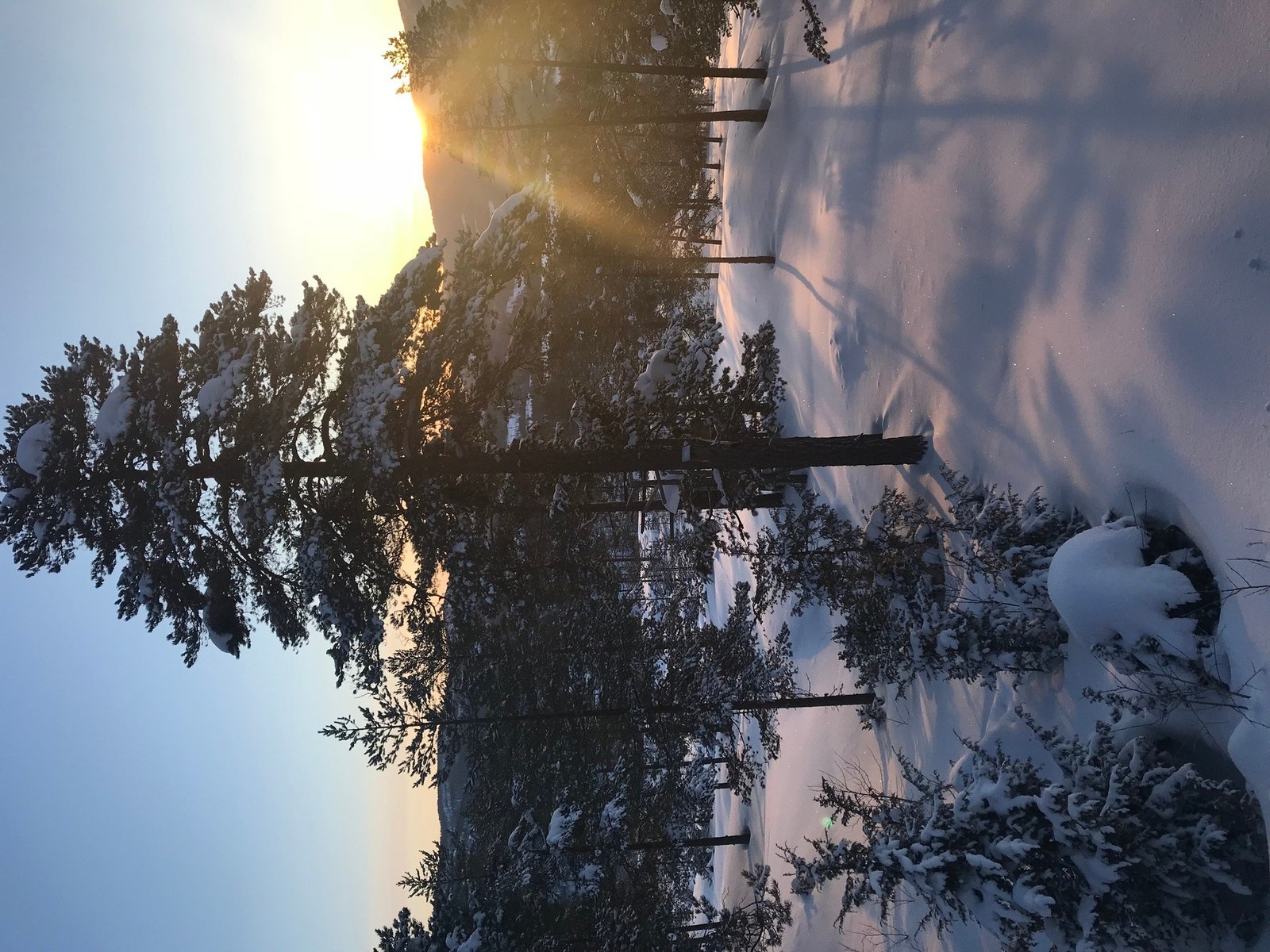 Vinterstemning (selgers bilde) Galleribilde