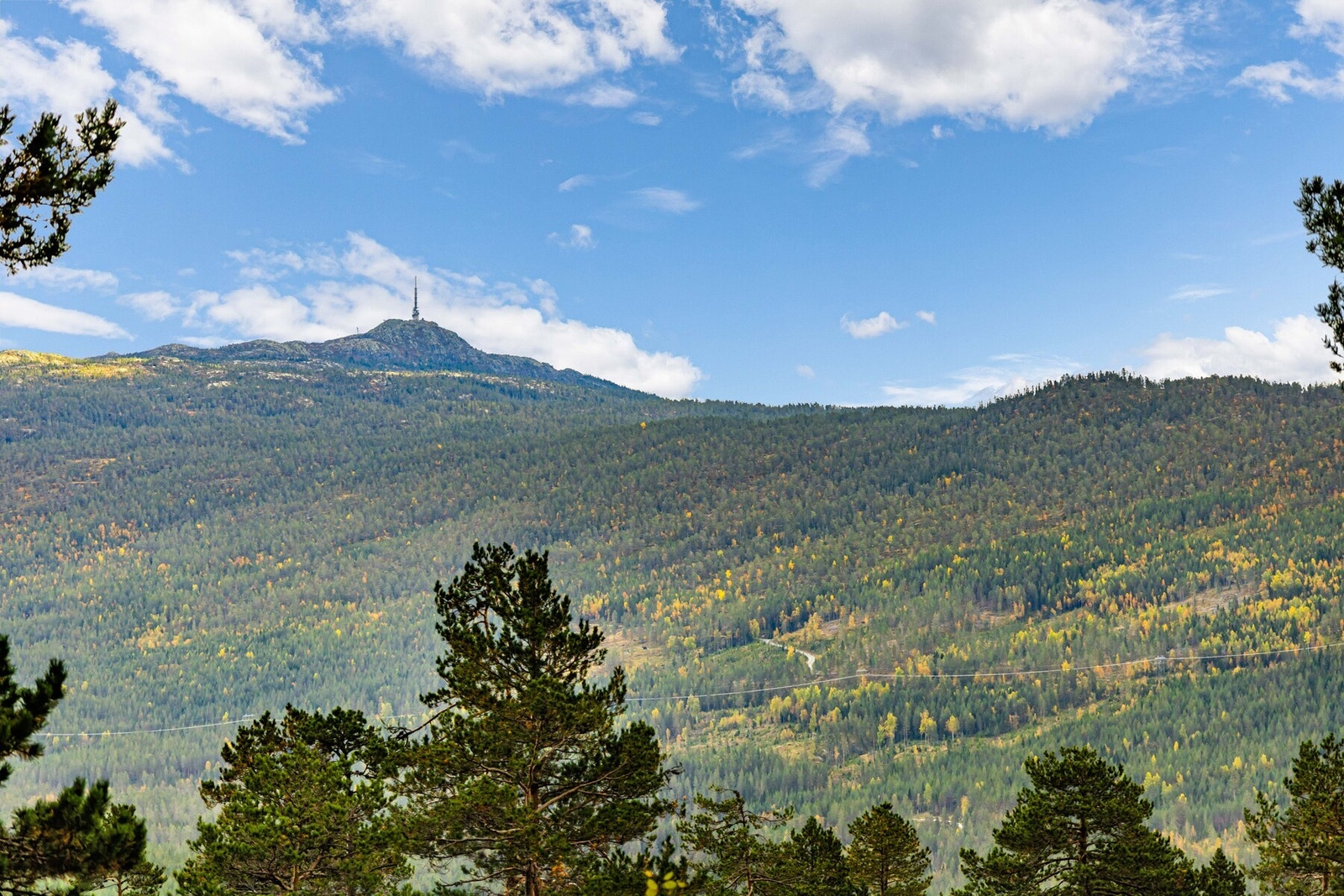 Her er det massevis av turterreng å utforske! Galleribilde