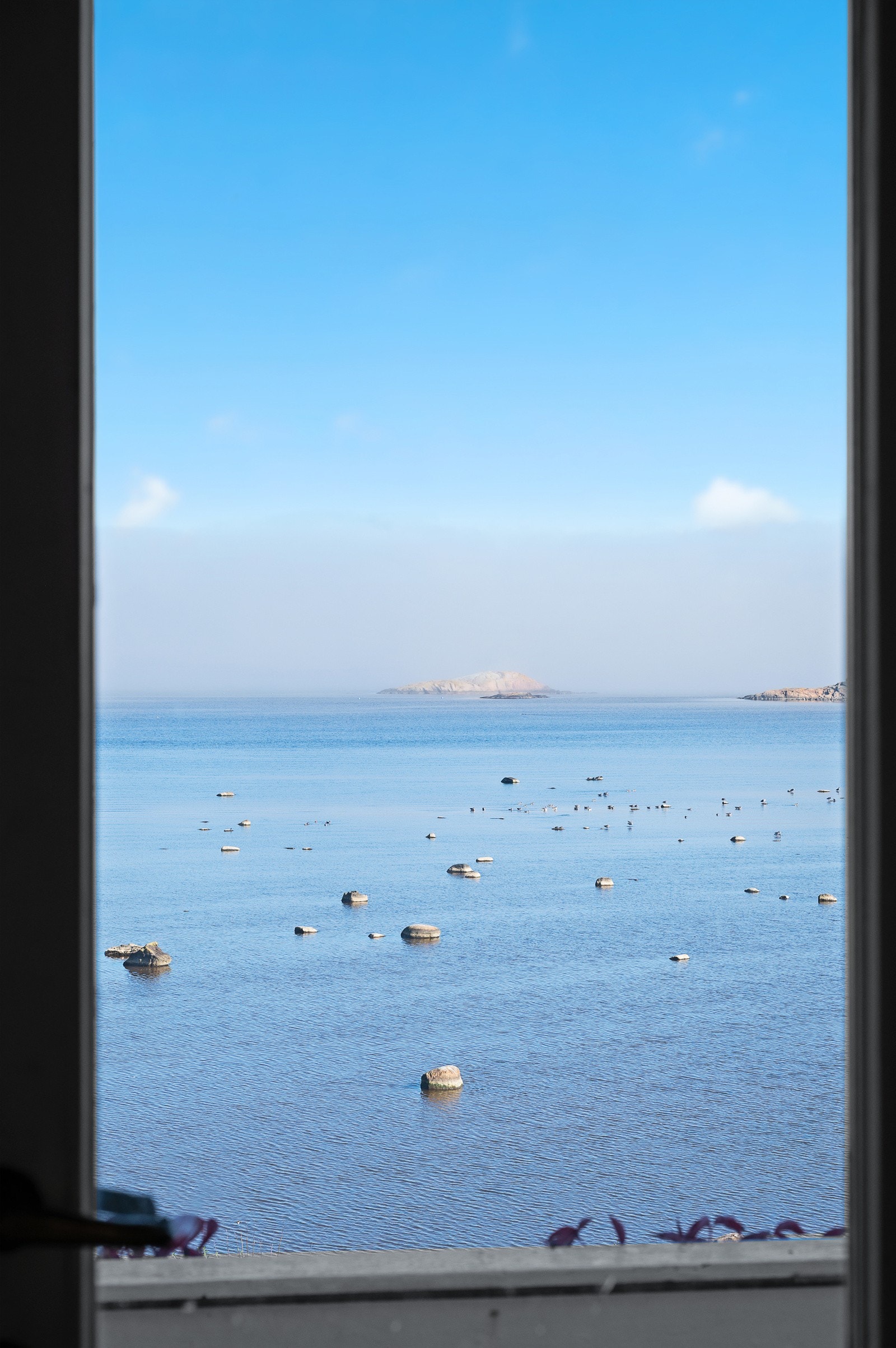 Utsikt. Galleribilde