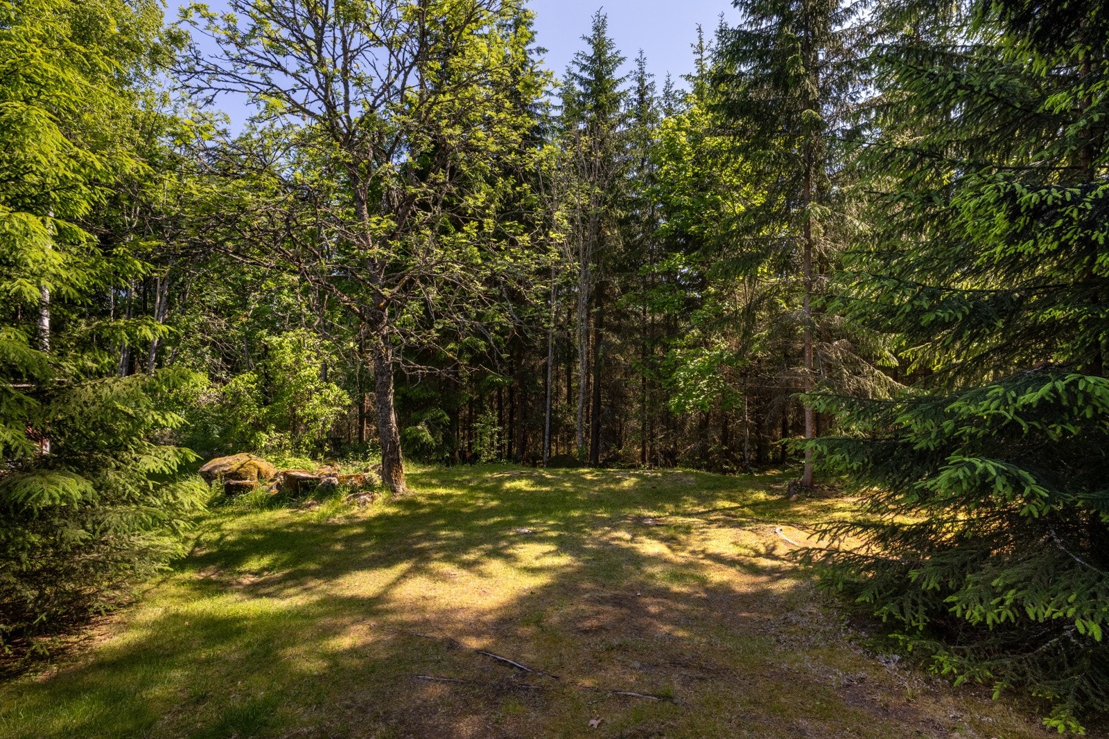 Her bor du med umiddelbar nærhet til turmuligheter. Galleribilde