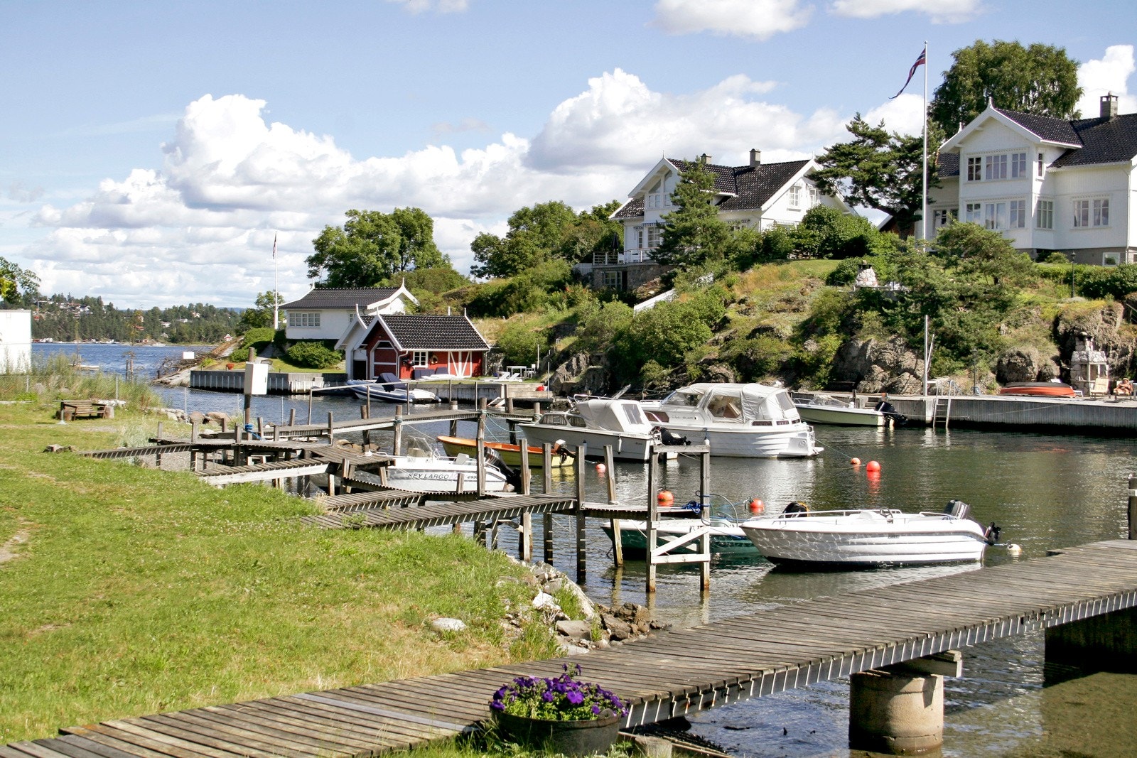 Idylliske Konglungen! Galleribilde